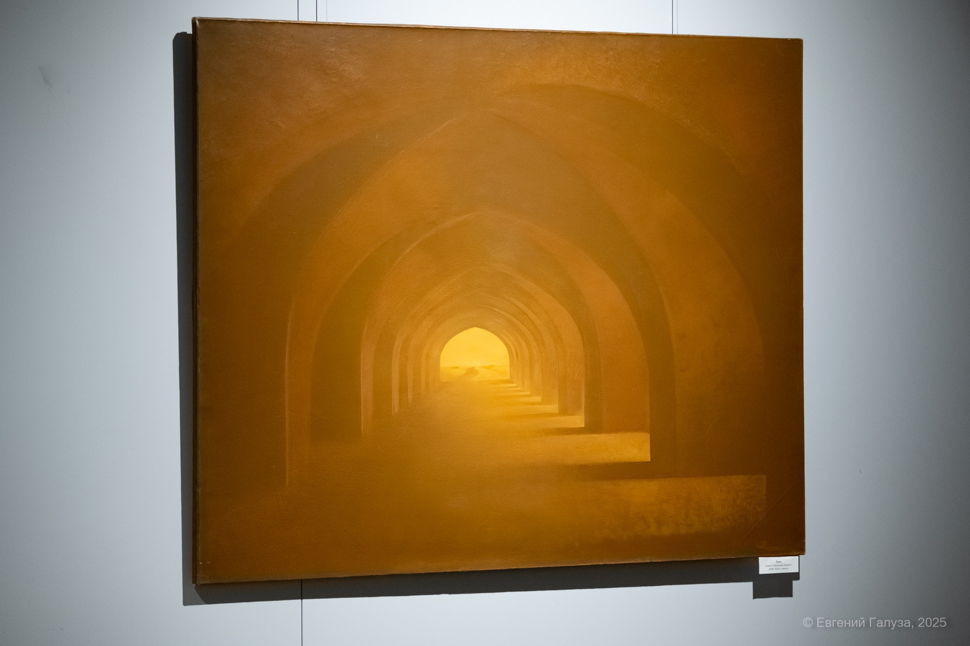 Выставка Игоря Елисеева. Репортажный фотограф г. Чита