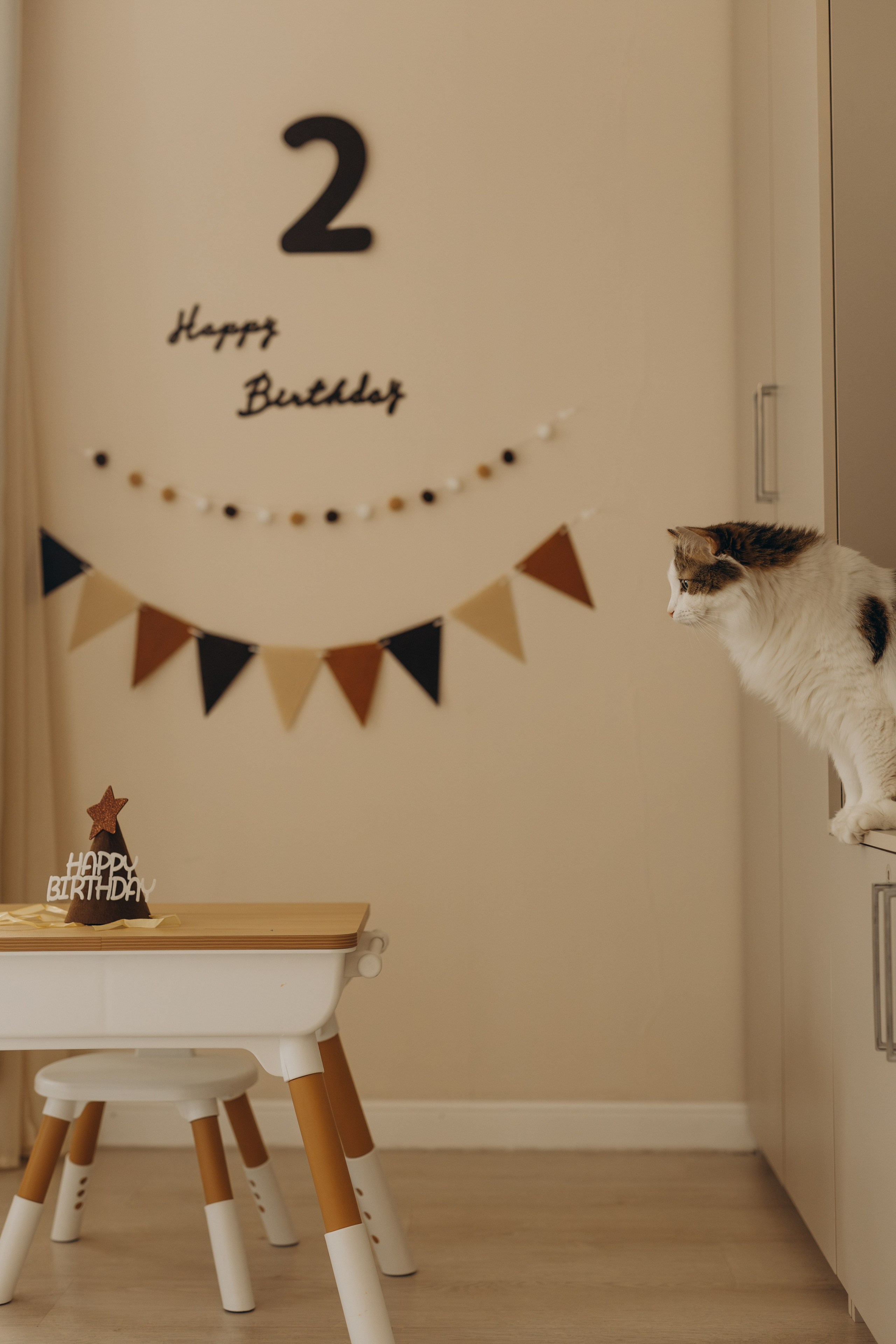 Милаше 2!. Фотограф Людмила Оюн