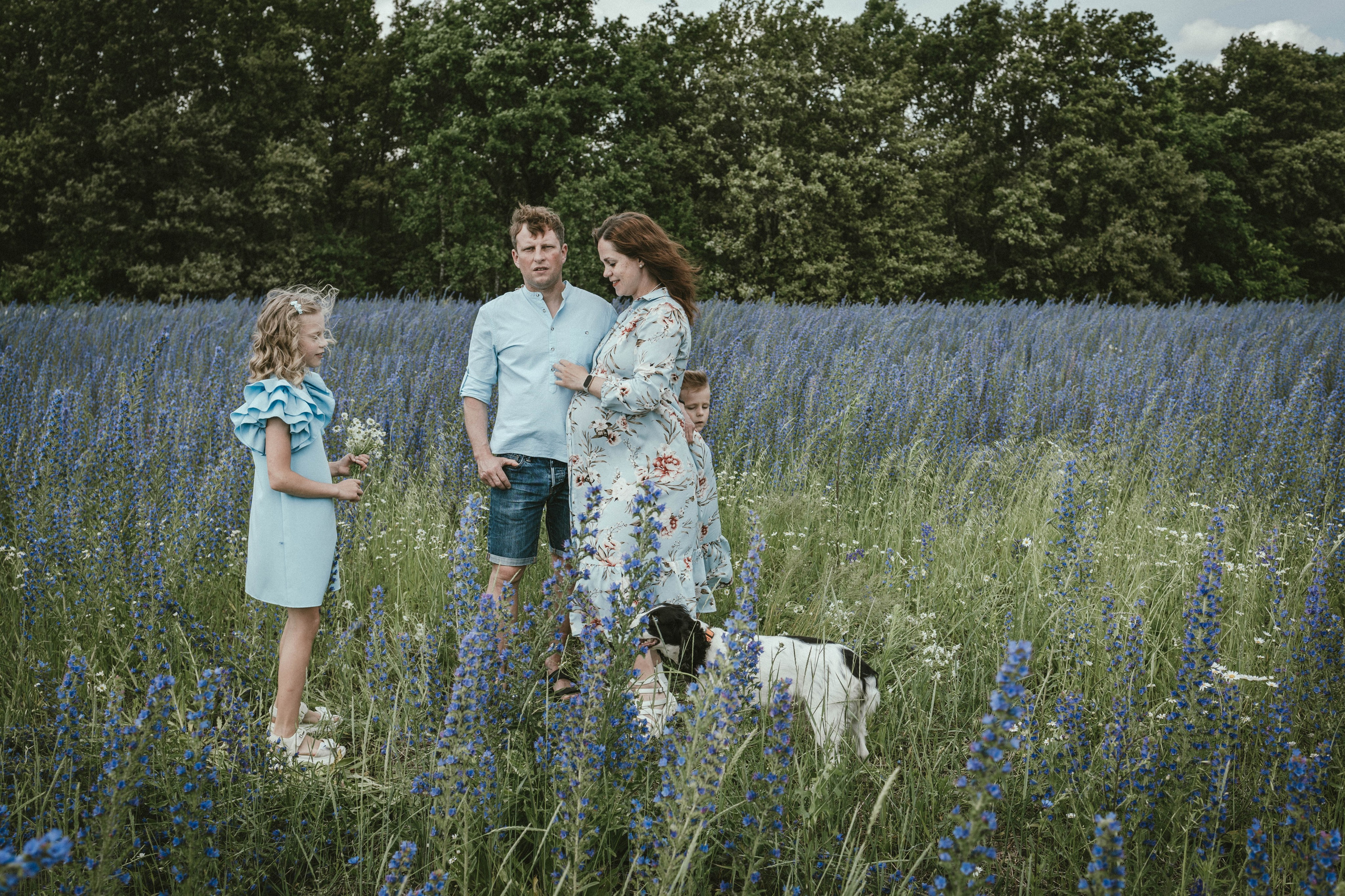 В ожидании чуда Алёна & Сергей, дети и собака. Коммерческий фотограф