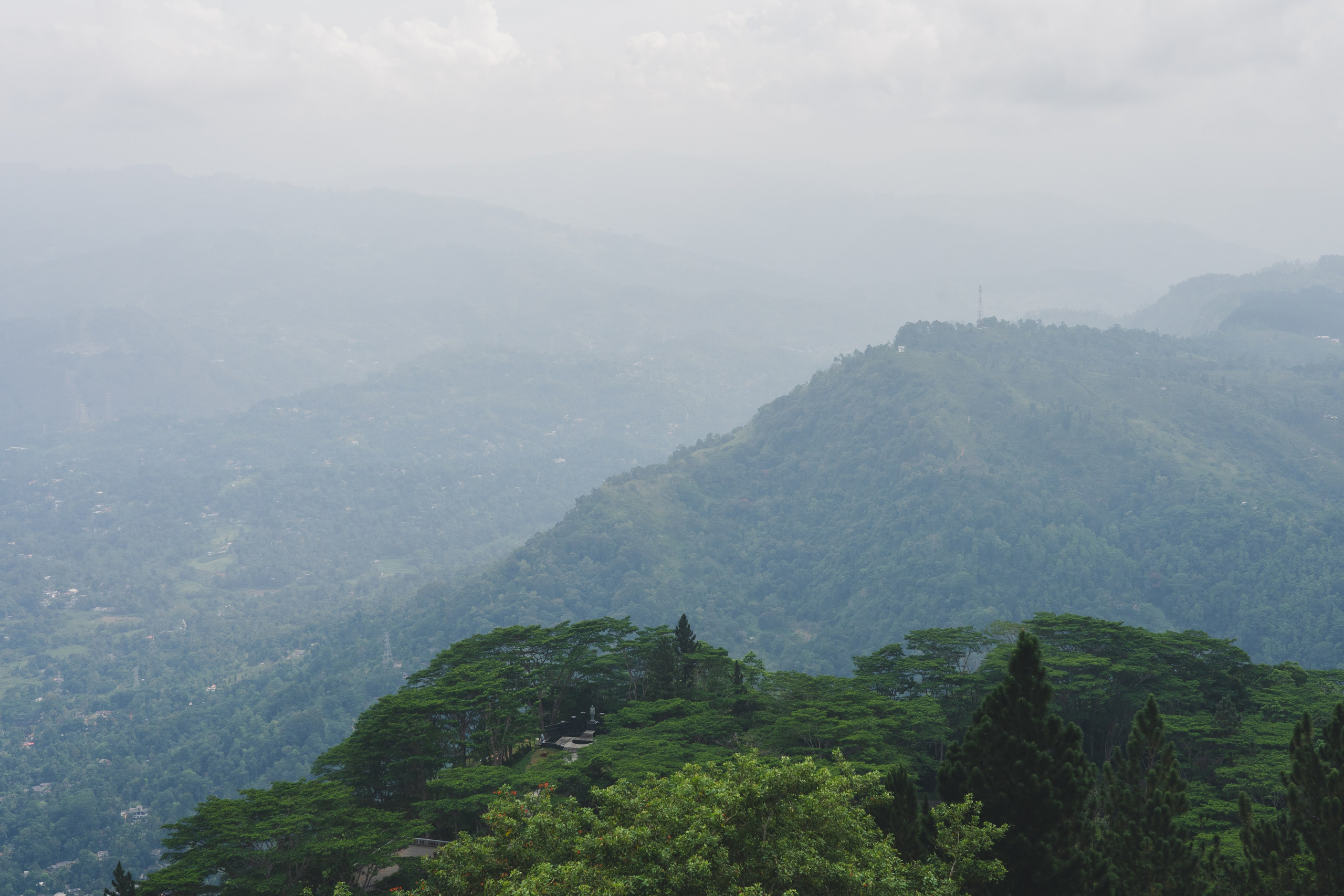 Шри-Ланка 2025. Легкая фотография