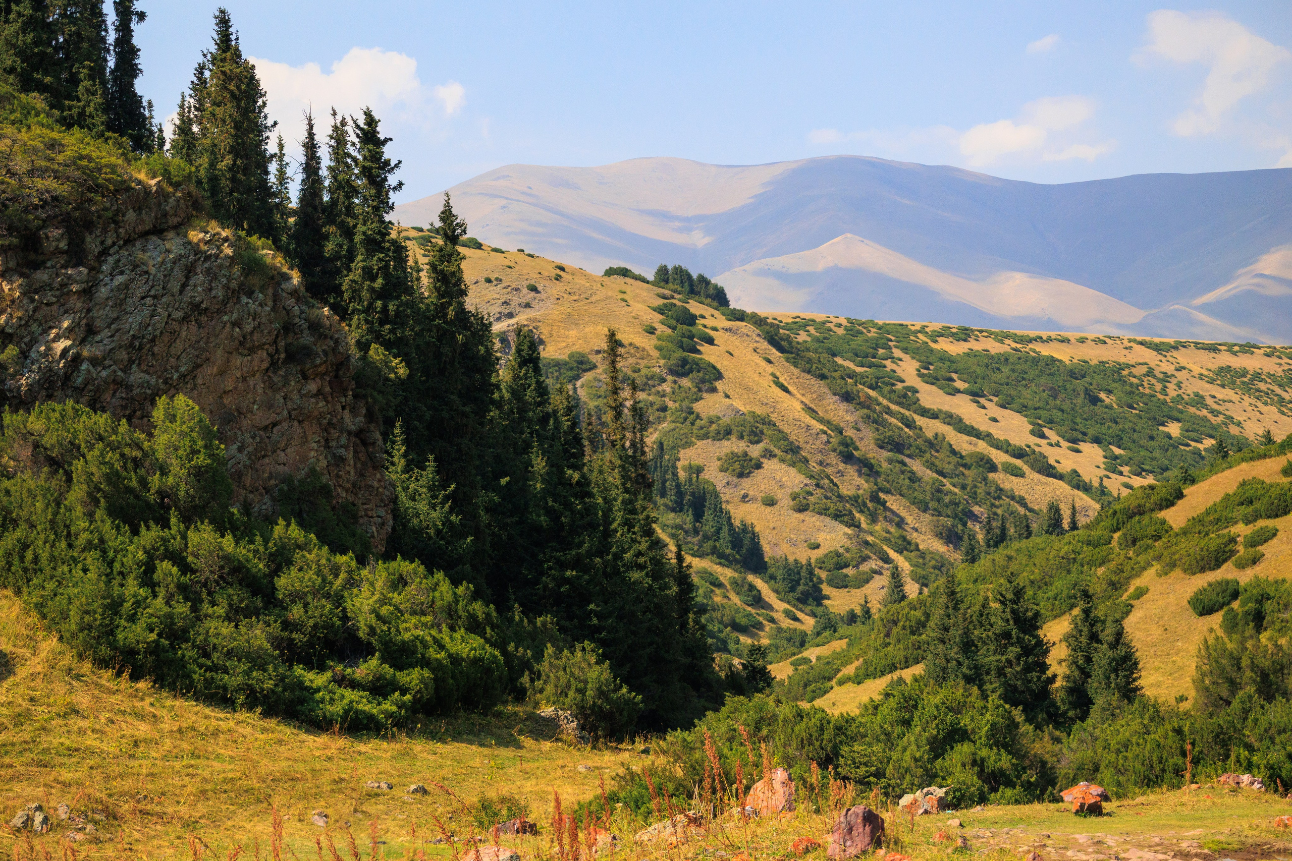 Поездка на плато Ассы и за пределами. Экскурсии и туры по Алматы