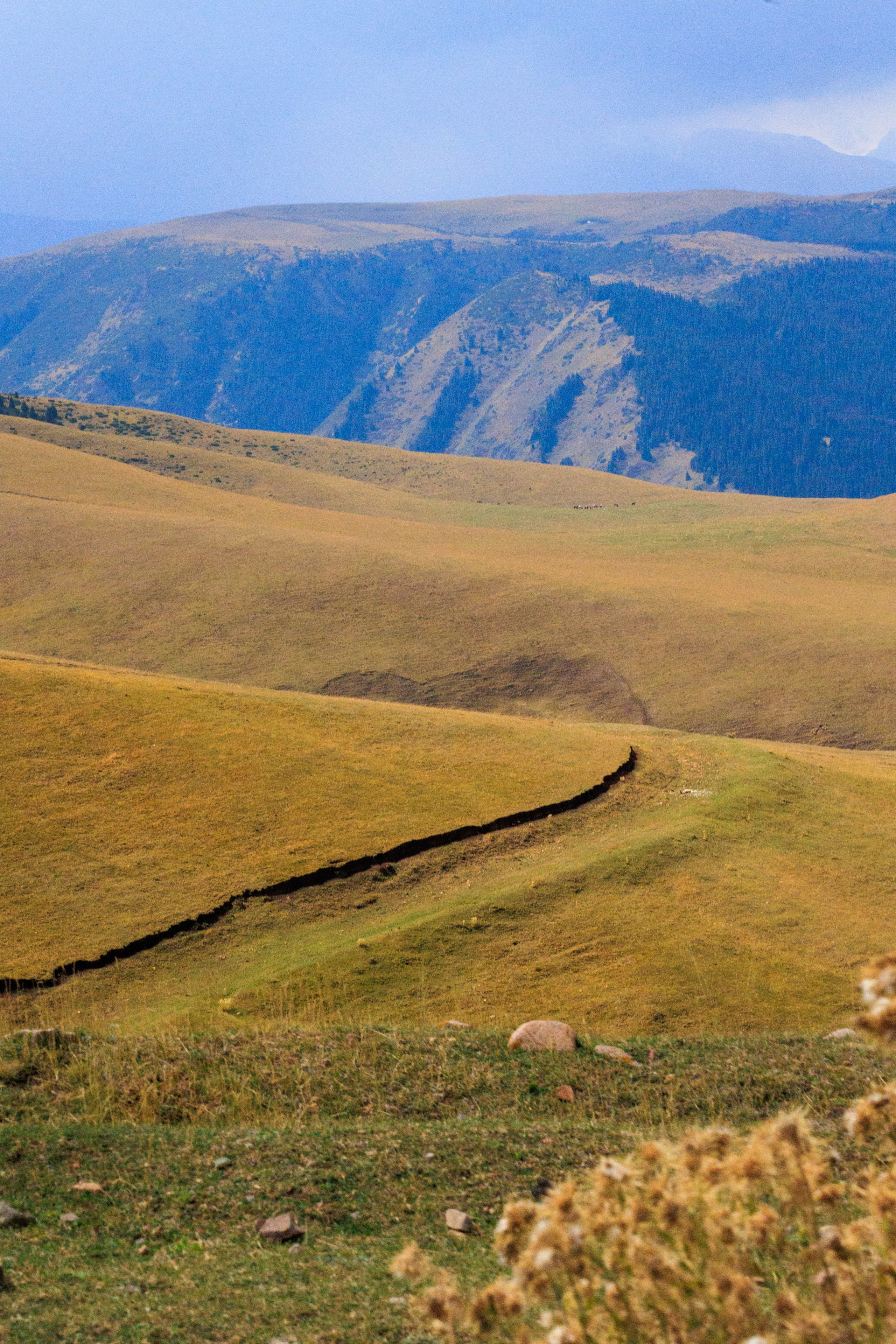 Поездка на плато Ассы и за пределами. Экскурсии и туры по Алматы