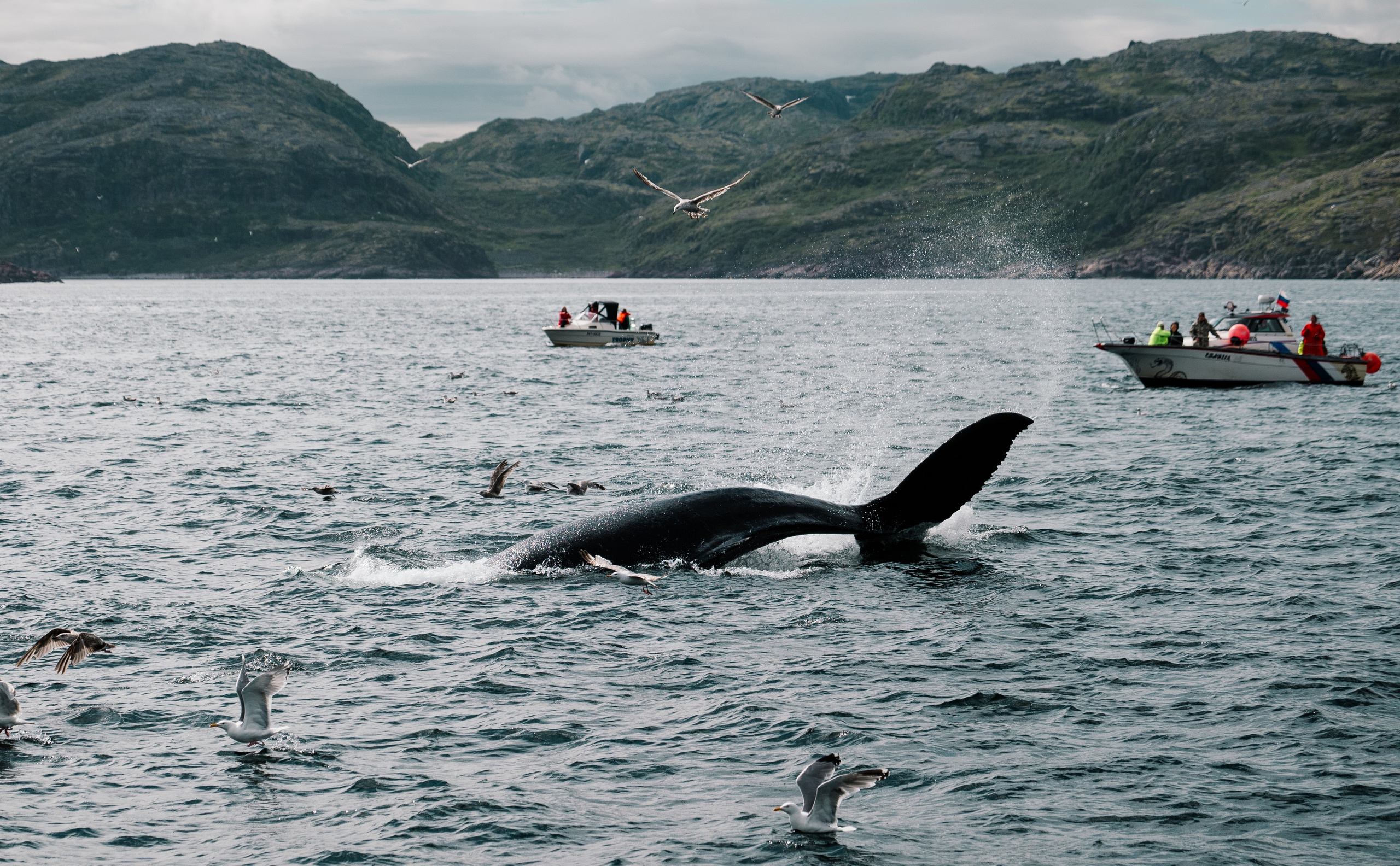 ТЕРИБЕРКА. Создание контента | Фото | Видеосъемка | Александр Ярков