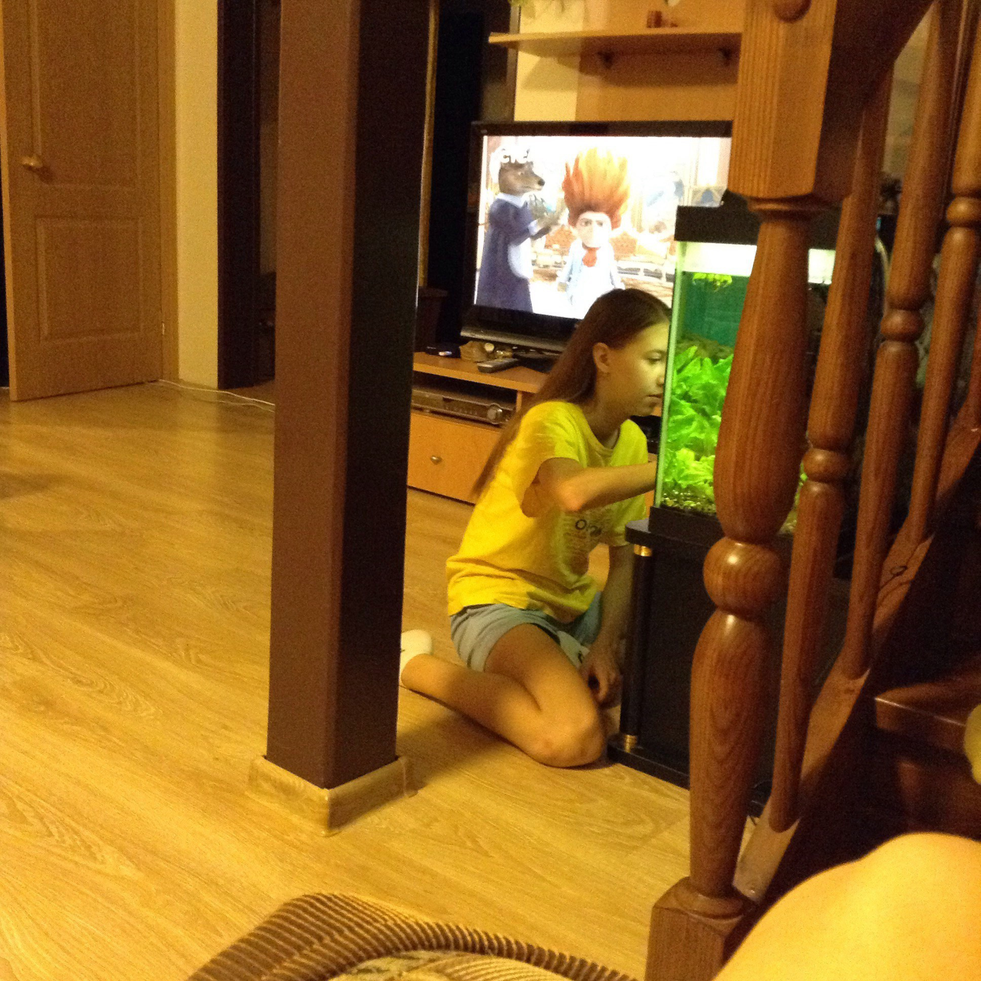 Сентябрь. Семейный, Свадебный фотограф СПБ Питер— Романова Екатерина