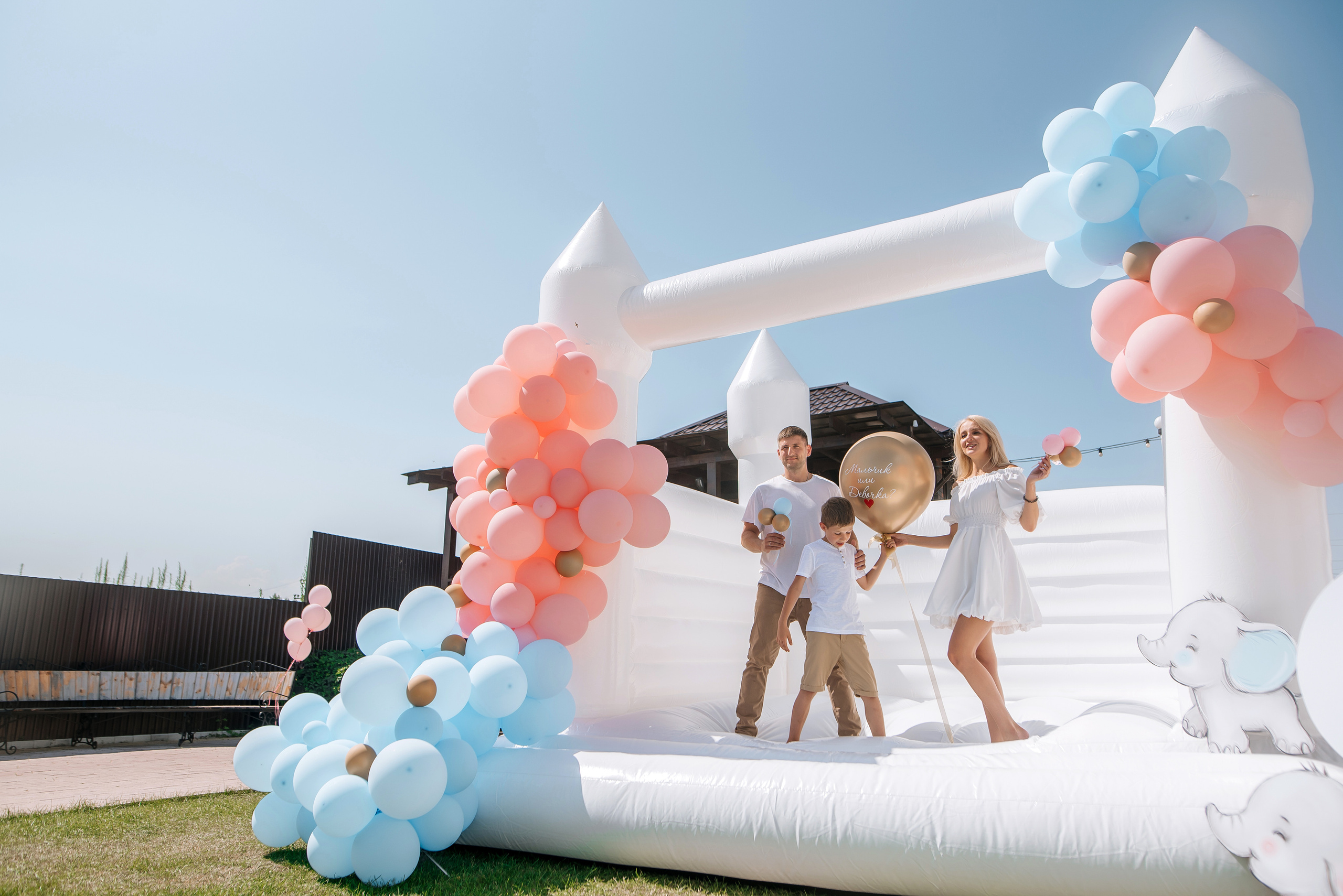 Гендер пати Гендерное пати Gender party. Свадебный фотограф Елена Рякина