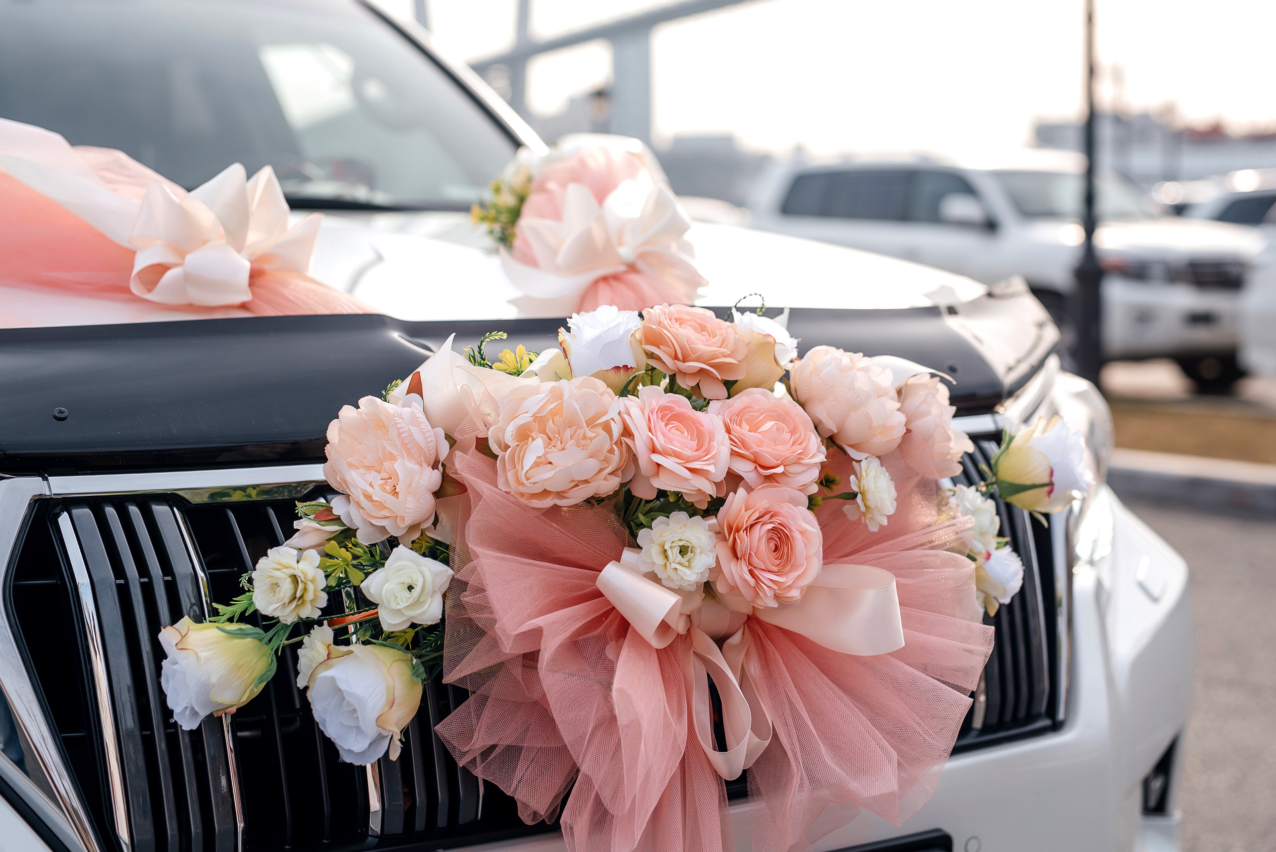 Сергей и Анна. Свадебный фотограф Елена Рякина