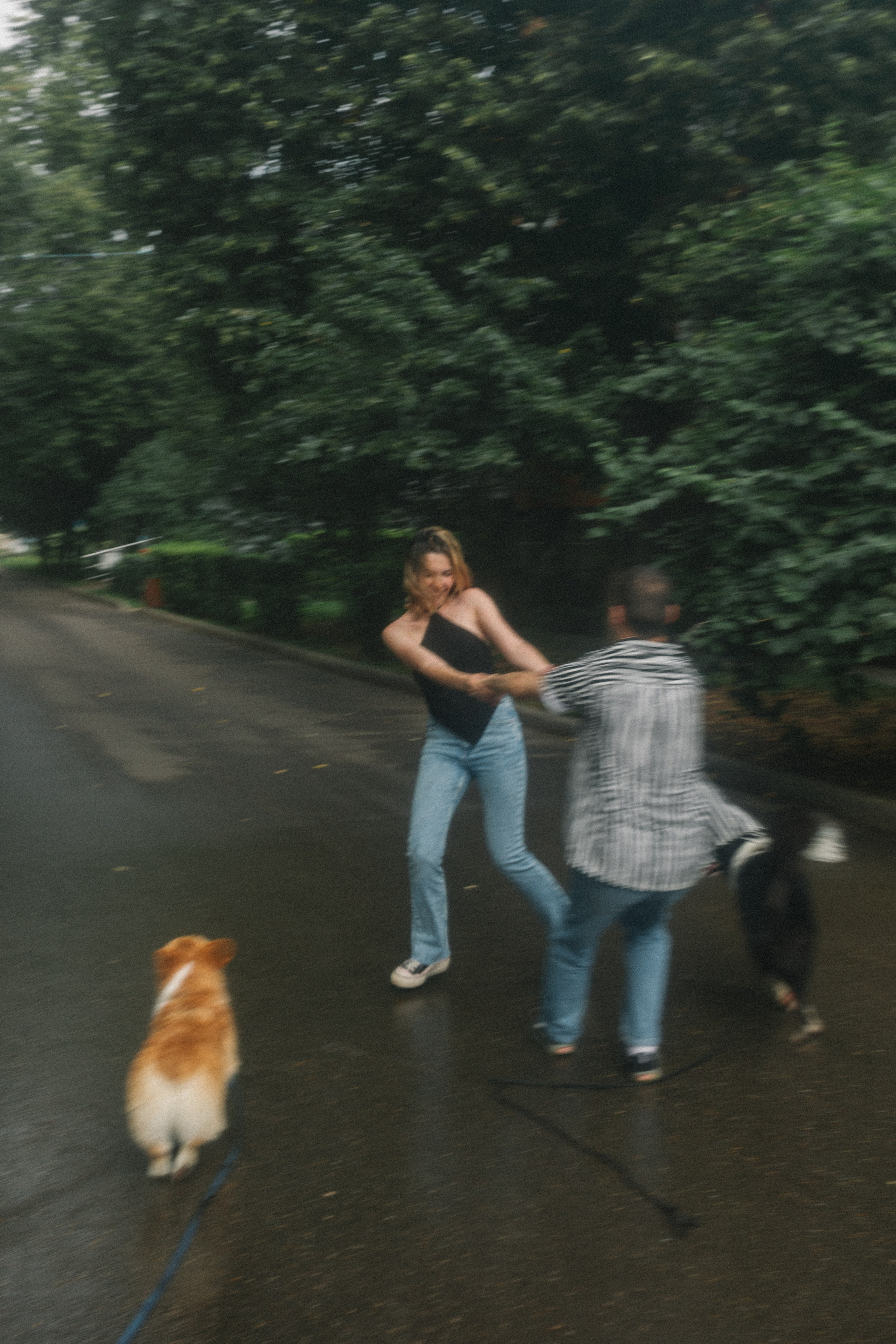 Брюс, Вейв и их ро. Фотораф — анималист Мария Шистка