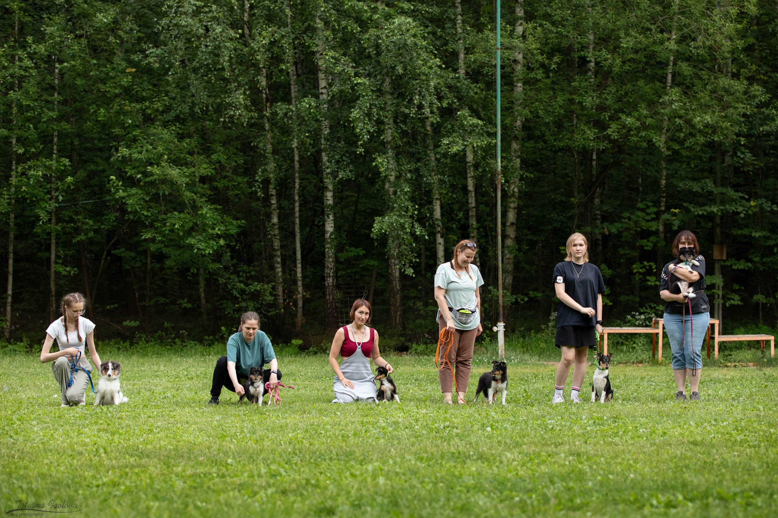 Репортаж с выводки молодняка колли/шелти в Ясенево. Фотограф-анималист в Москве и Московской области Татьяна Фролова