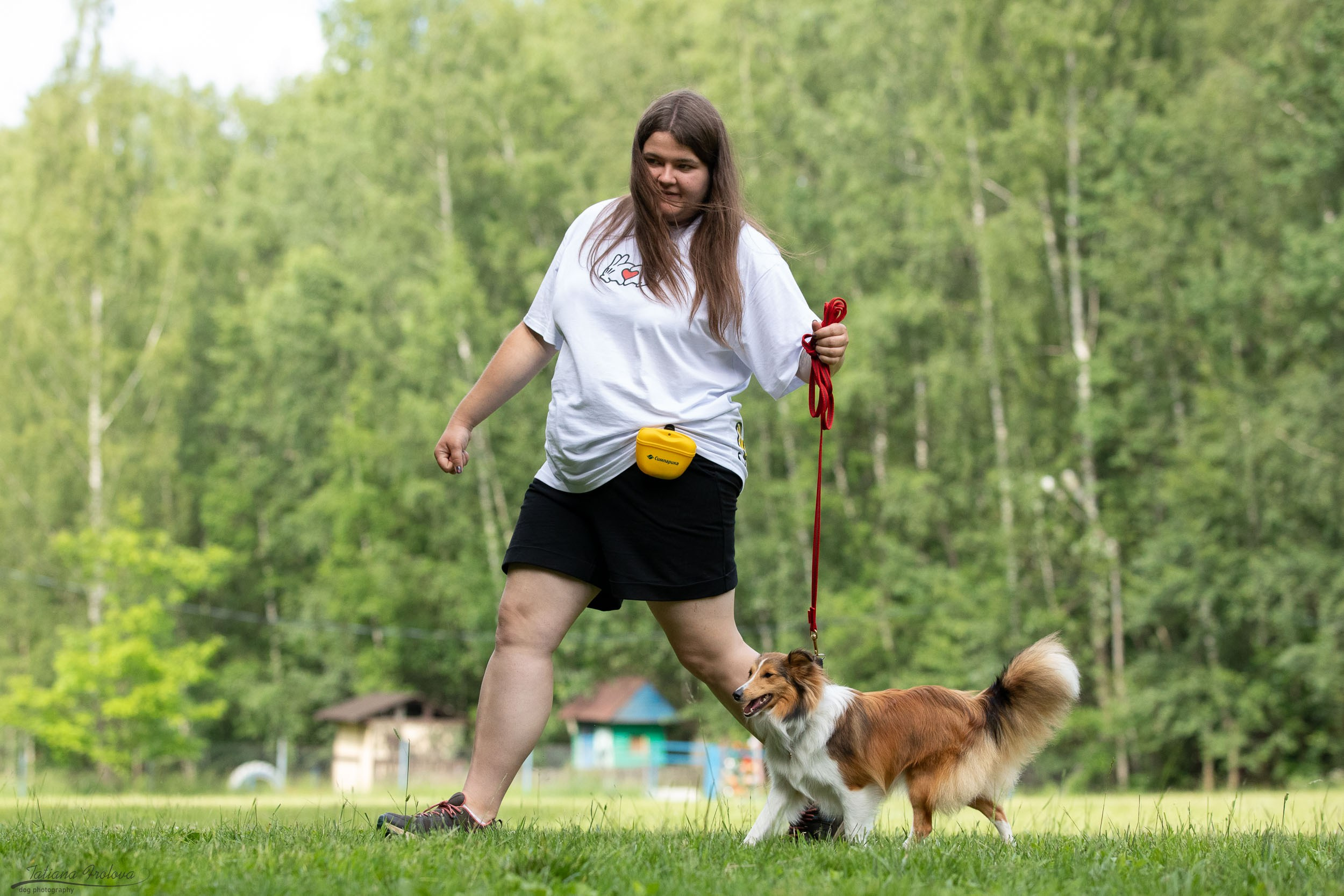 Репортаж с выводки молодняка колли/шелти в Ясенево. Фотограф-анималист в Москве и Московской области Татьяна Фролова