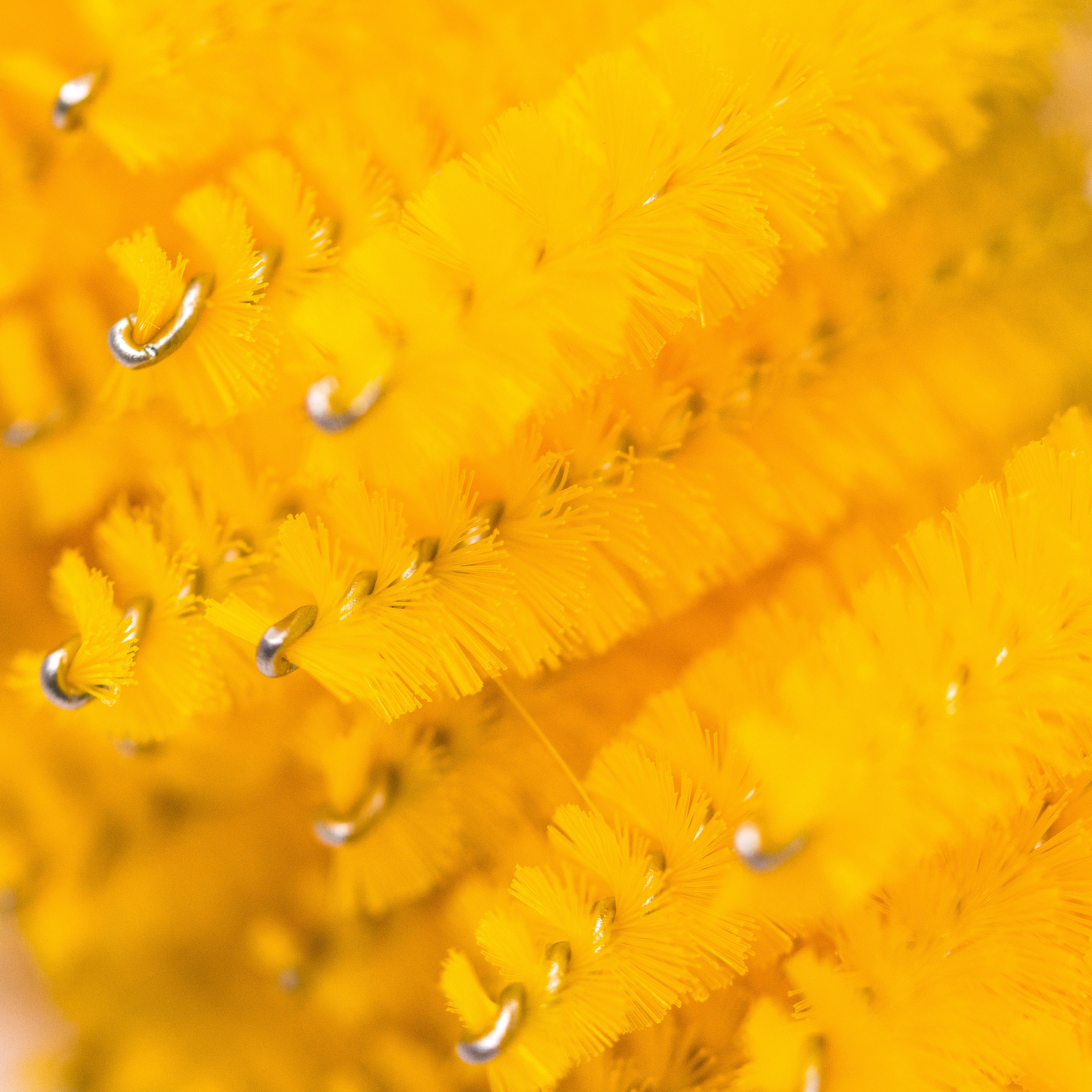 Каталог. Фотограф Фирсанова Алина