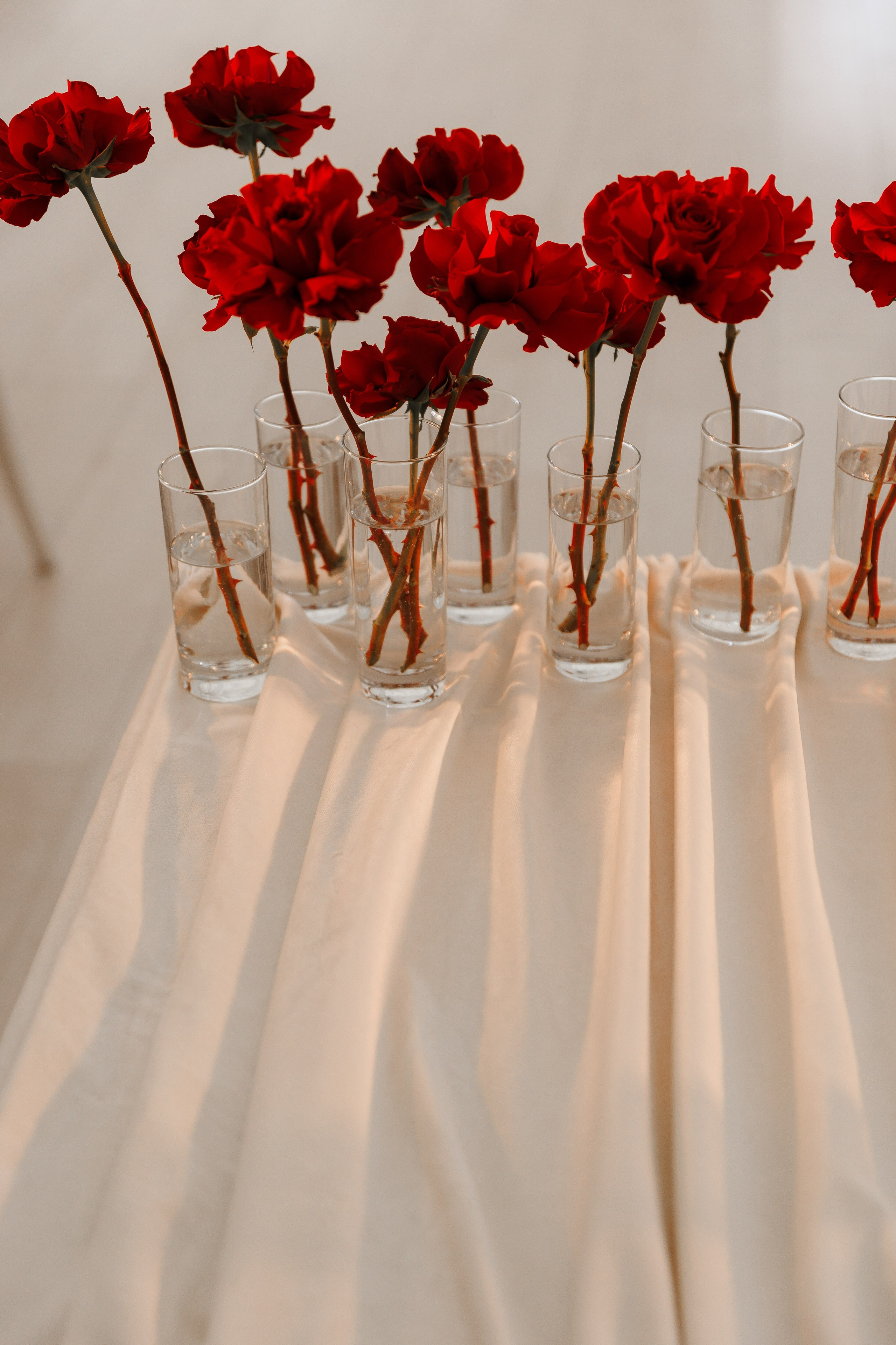 Анастасия и Павел. Фотограф Дарья Норкина