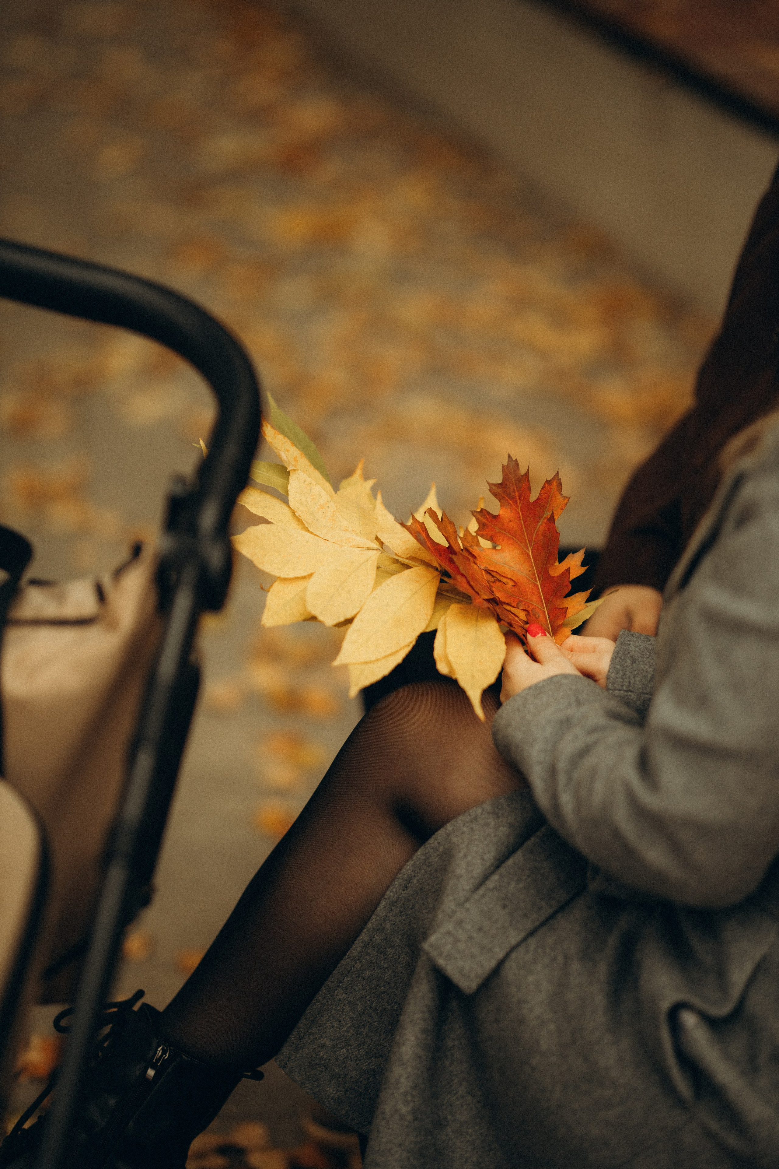 Первая осень. Семейный фотограф Вероника Каюрова Ярославль