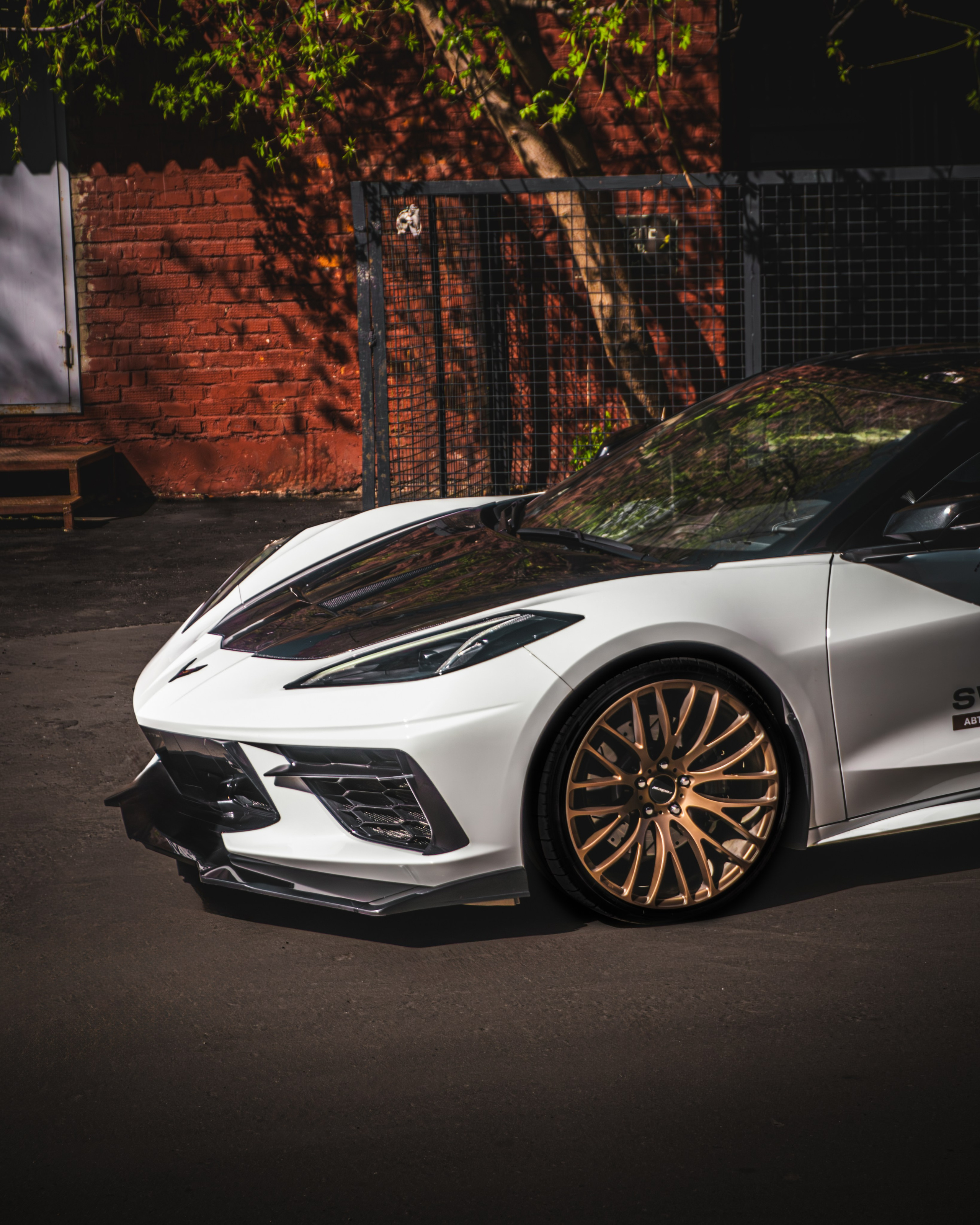 CHALLANGER & CORVETTE. Автомобильный фотограф в Москве
