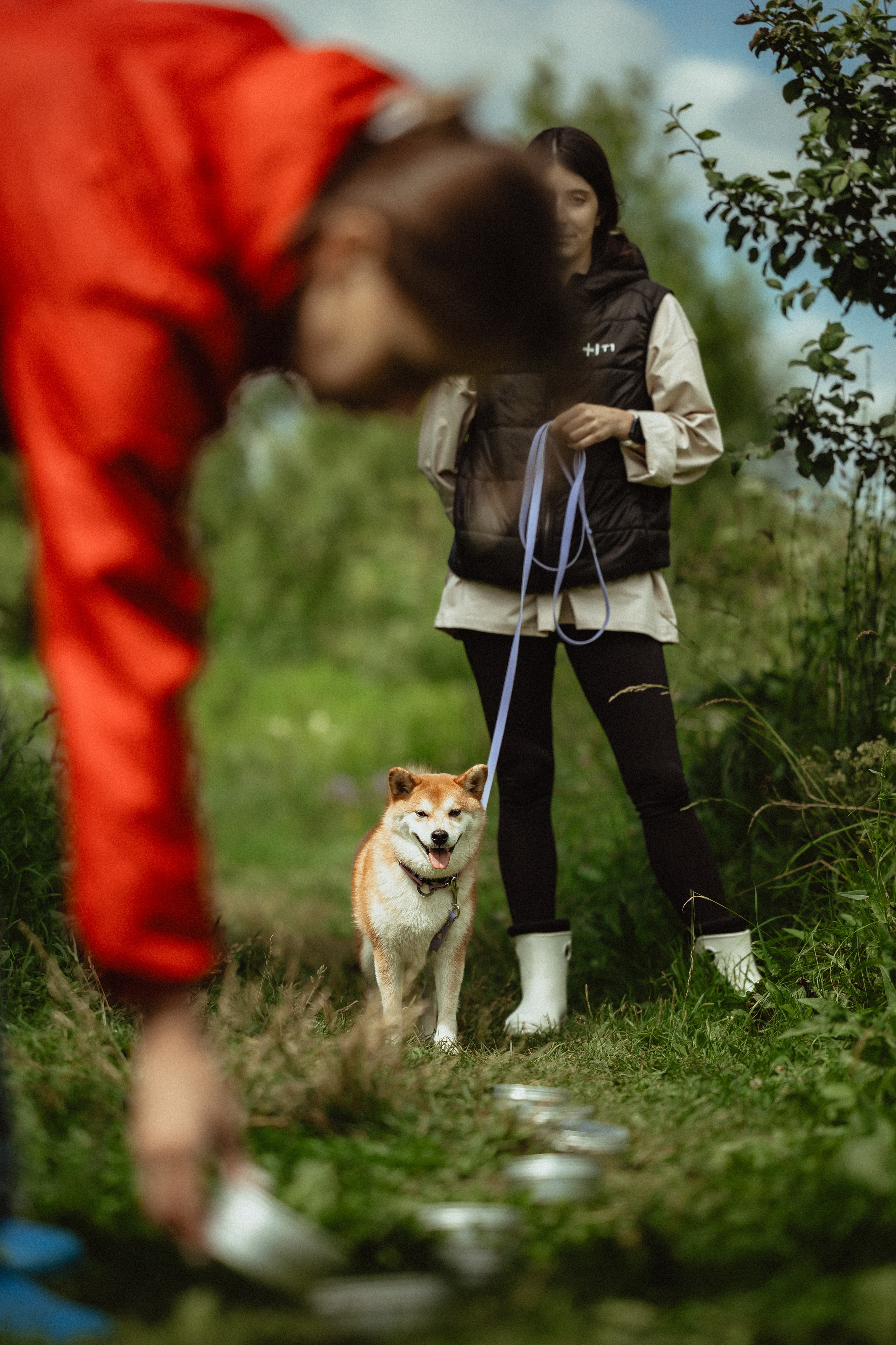 Выездной дог-тренинг от школы «Шерсть имею»