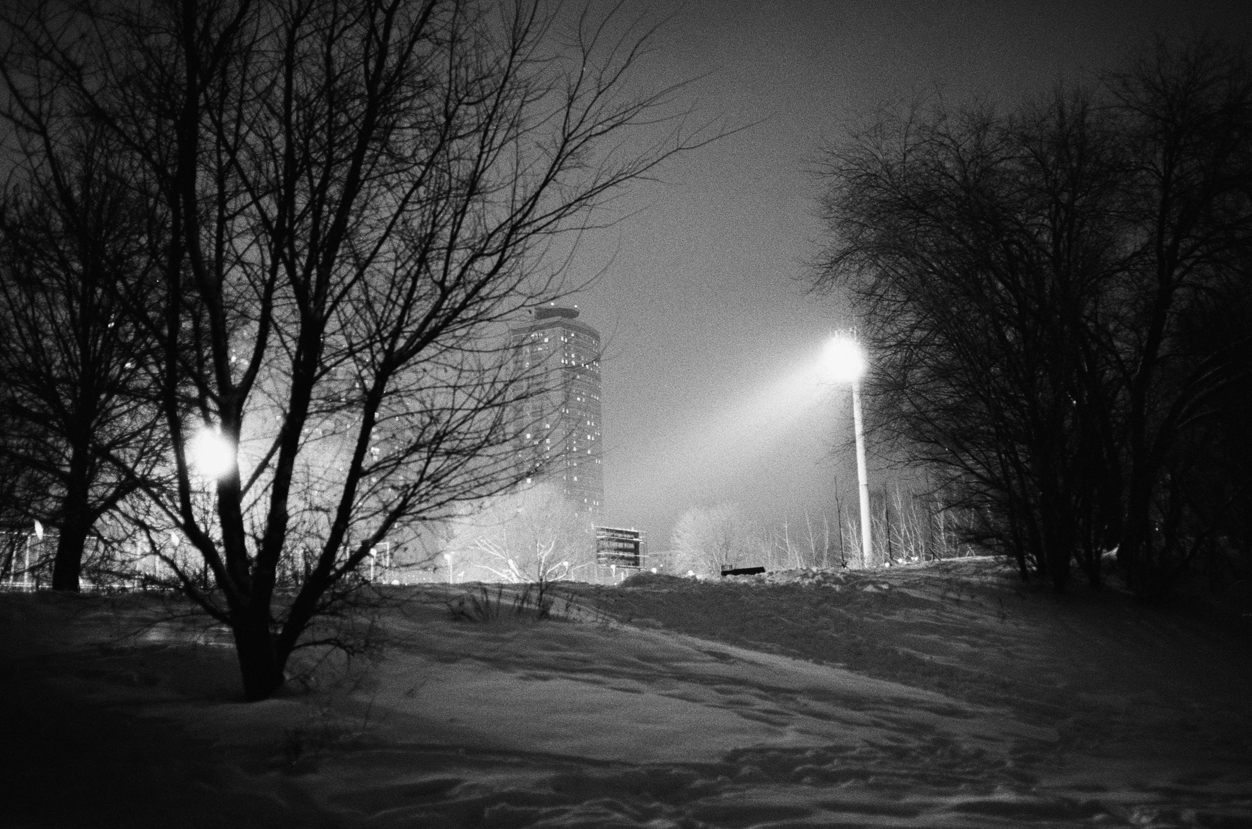 Voigtlander BESSA-T / Ultron 28 mm f/2 / Ilford PAN 400