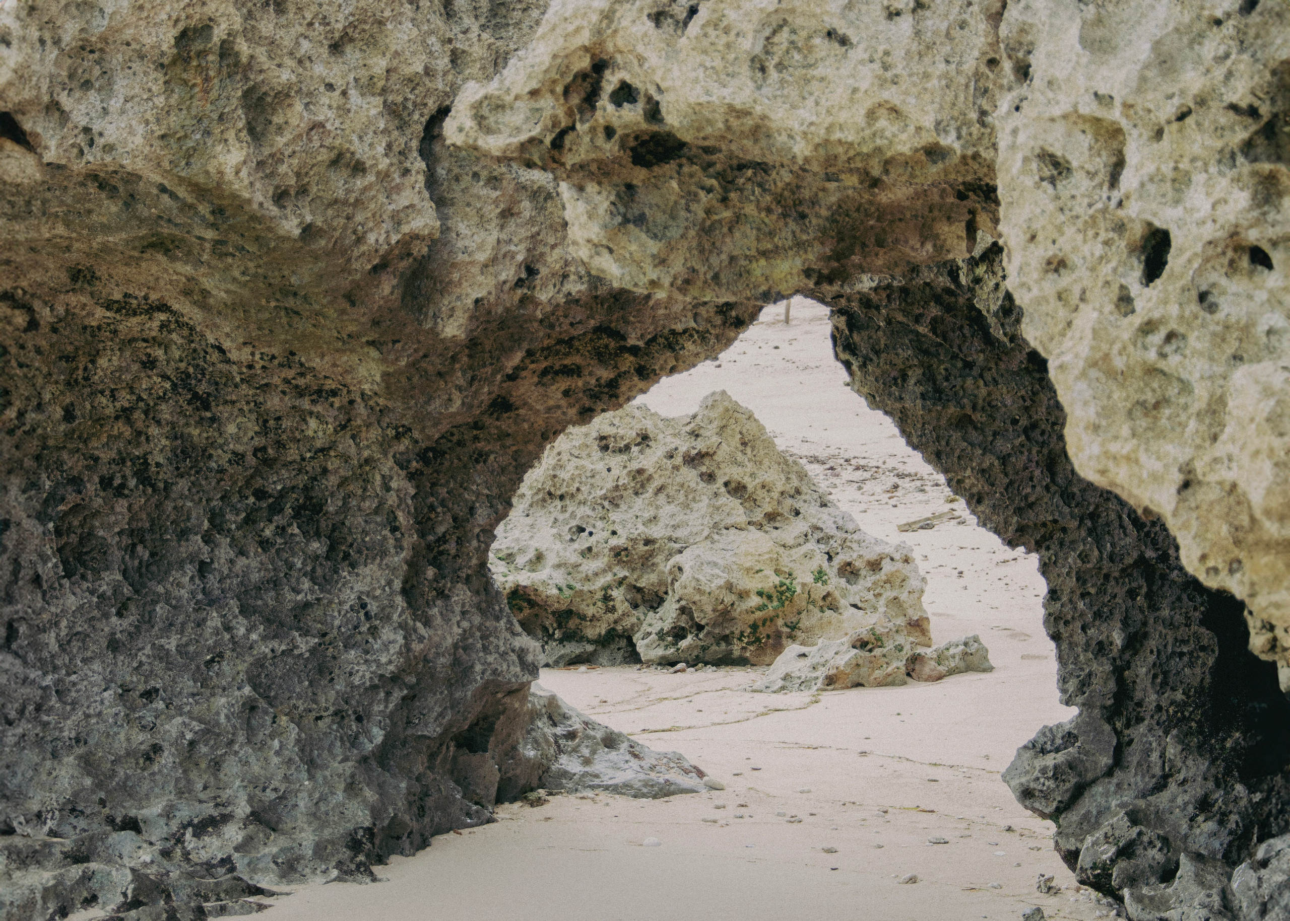 Bonanza. Фотограф Марбелья и Малага