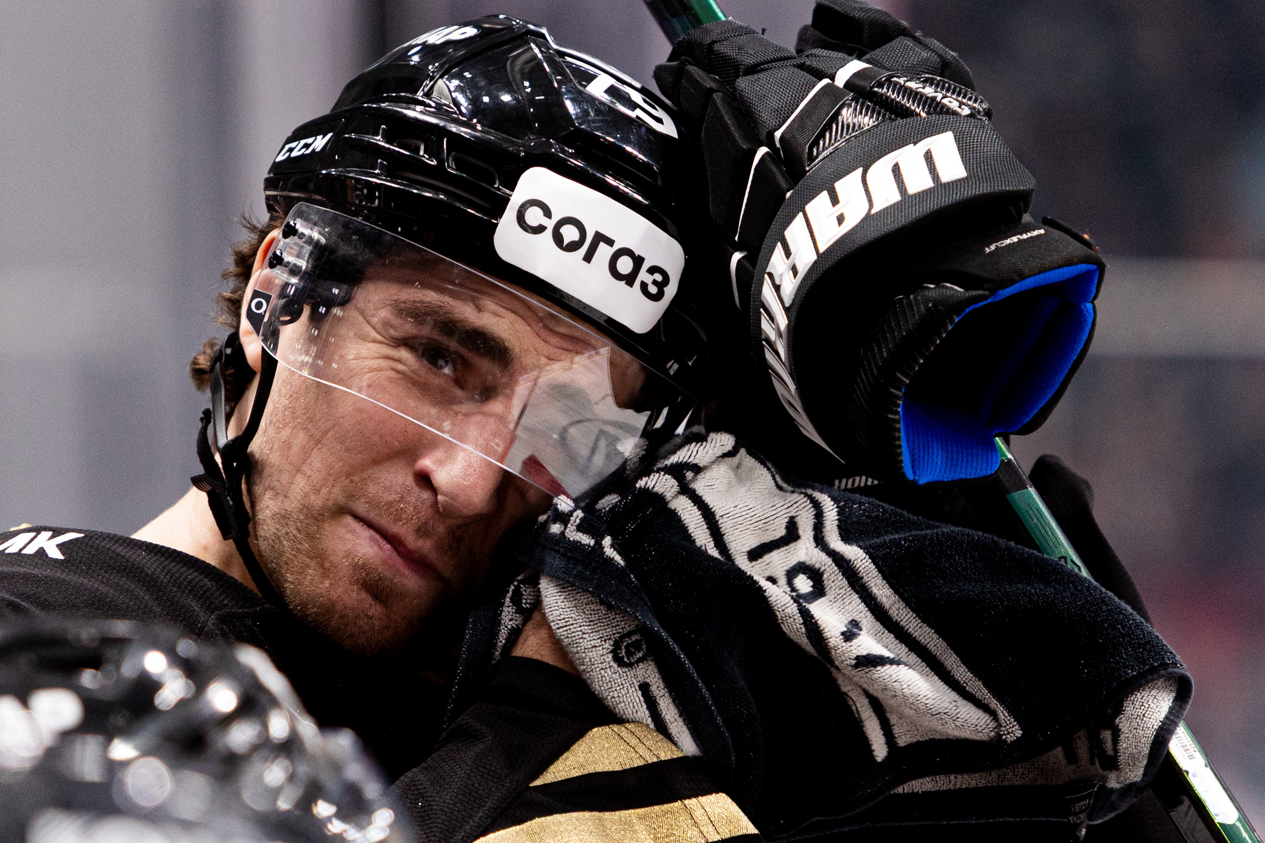 Алексей Потрехалов. Маскот хоккейного клуба «Трактор». Репортажный фотограф Наталья Лапцевич