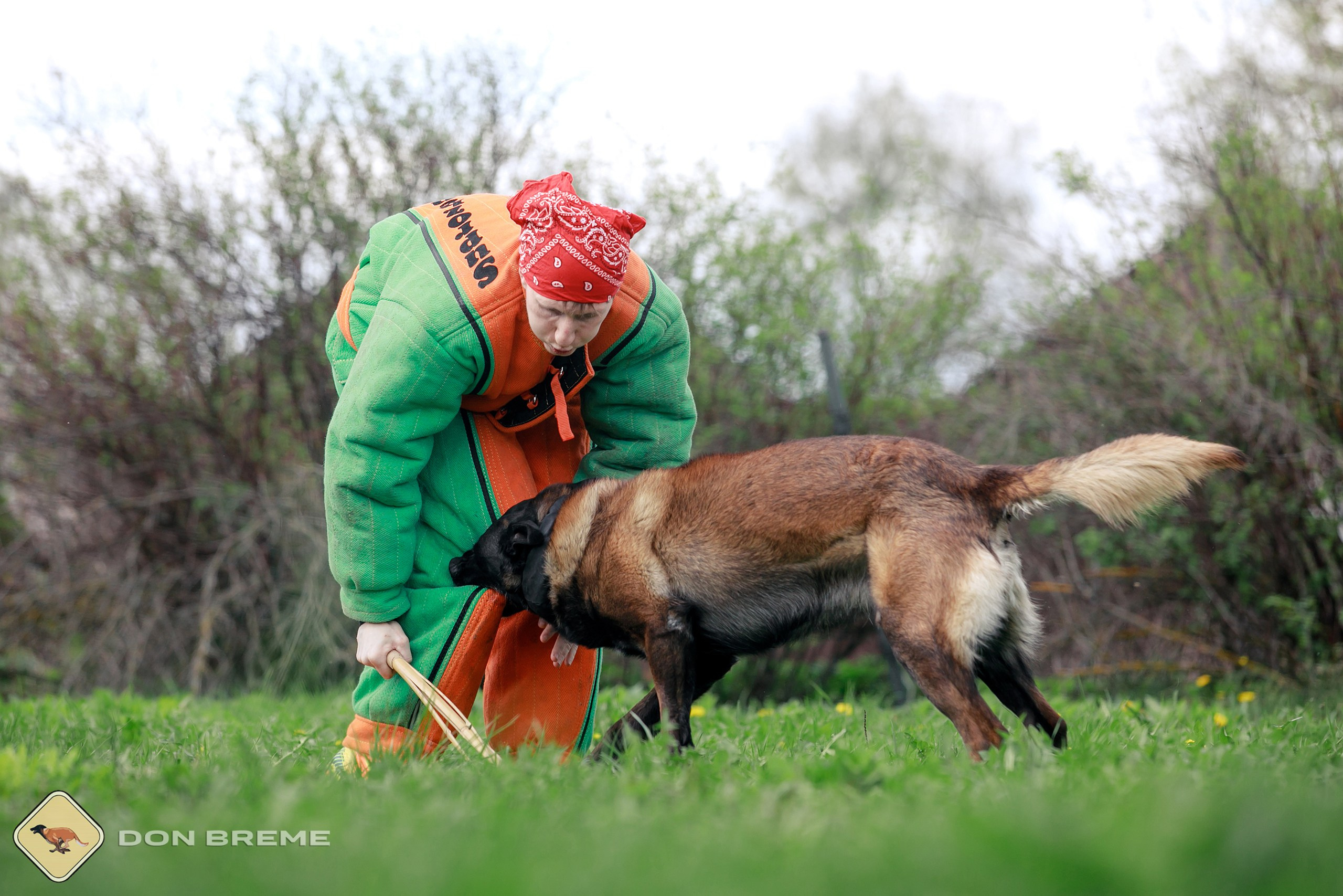 Семинар для фигурантов, день 2. Фотограф-анималист Mary Mart — Москва, Питер