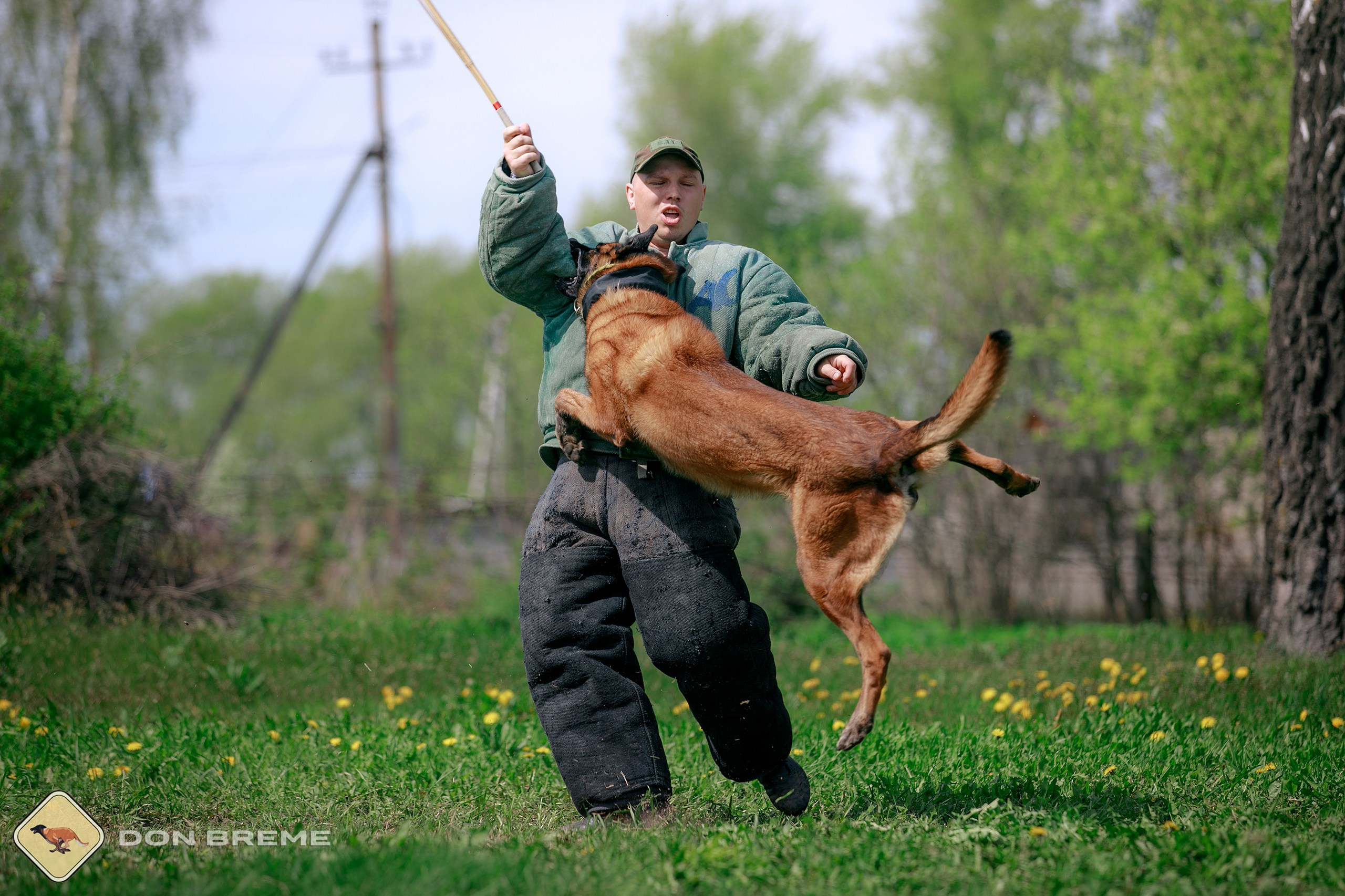 Семинар для фигурантов, день 4. Фотограф-анималист Mary Mart — Москва, Питер