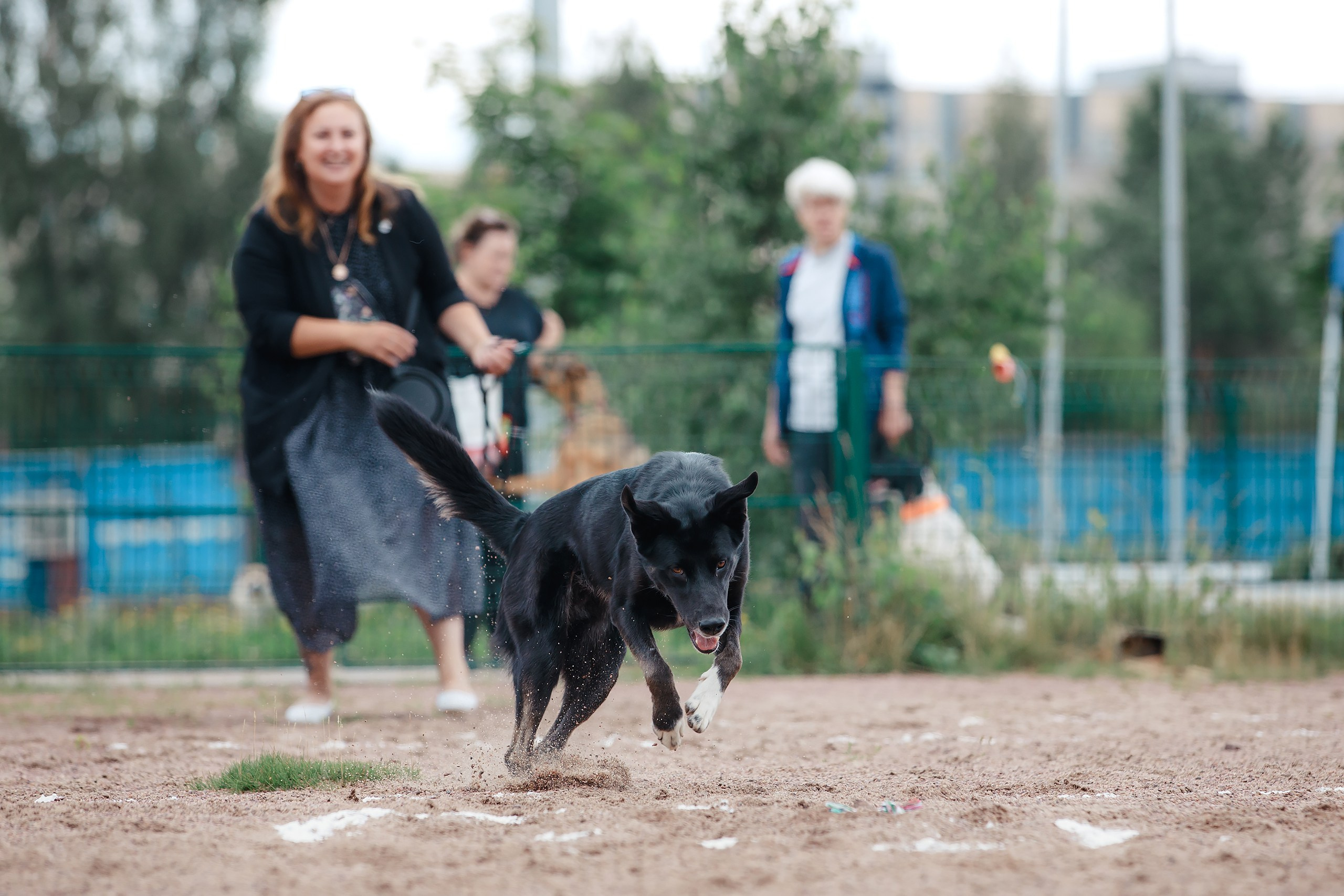 Питч&Гоу + веселые старты. Фотограф-анималист Mary Mart — Москва, Питер