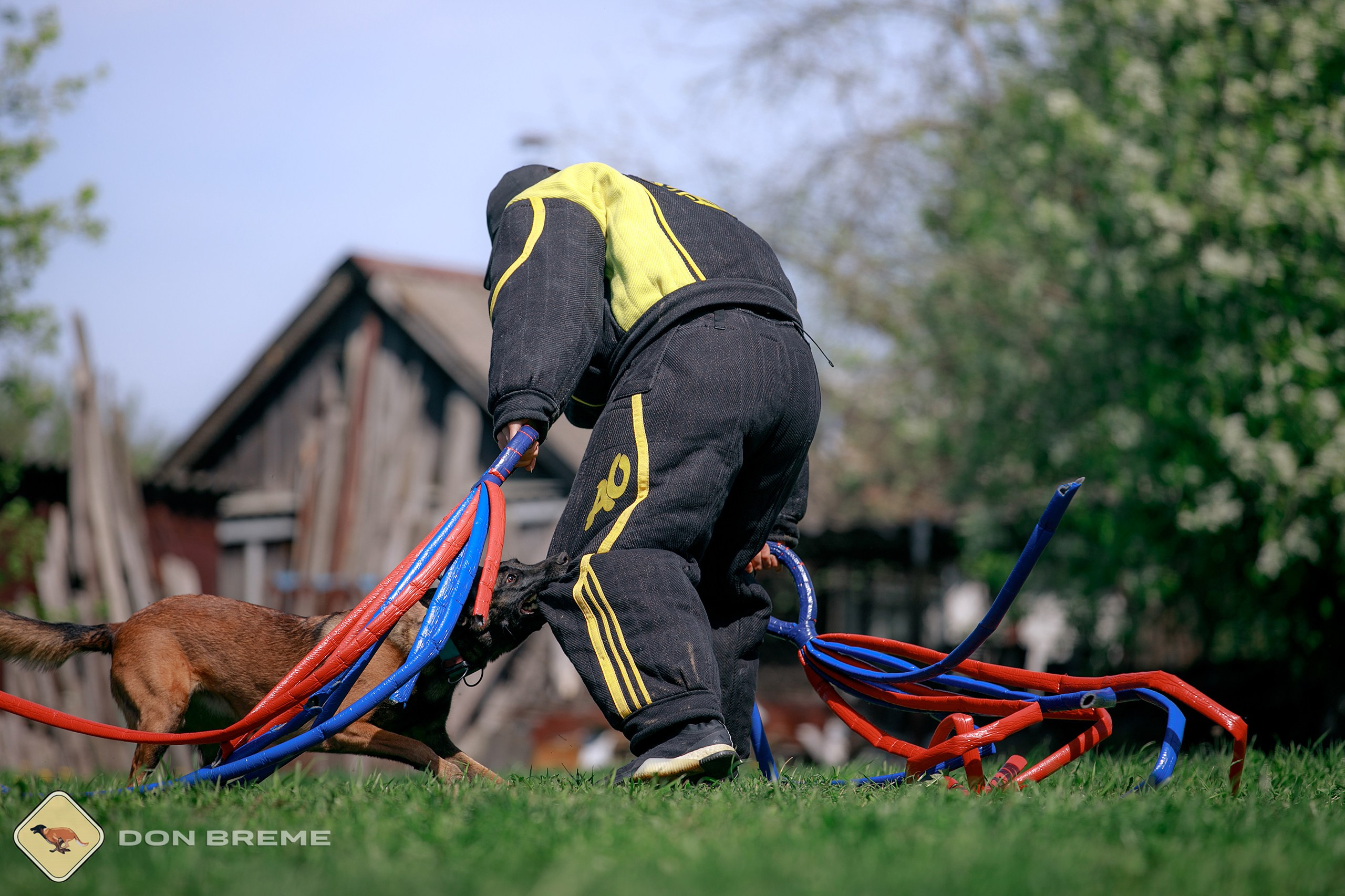Семинар для фигурантов, день 4. Фотограф-анималист Mary Mart — Москва, Питер