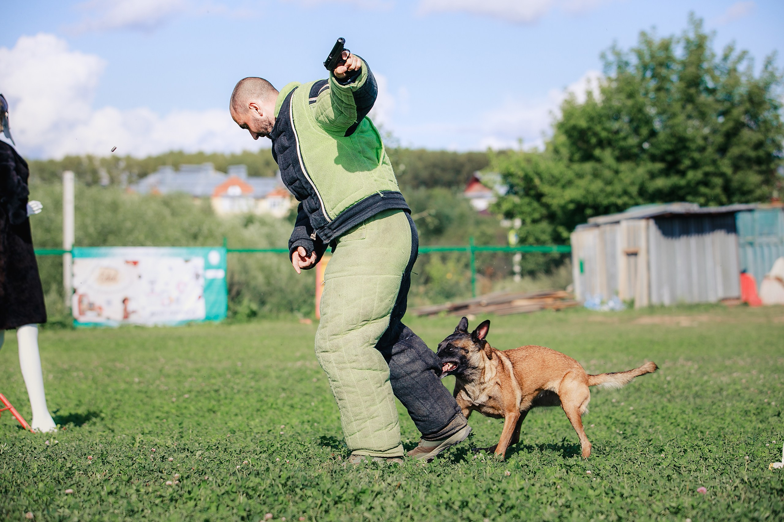 Мондьоринг М1, М2, М3, Вологда. Фотограф-анималист Mary Mart — Москва, Питер