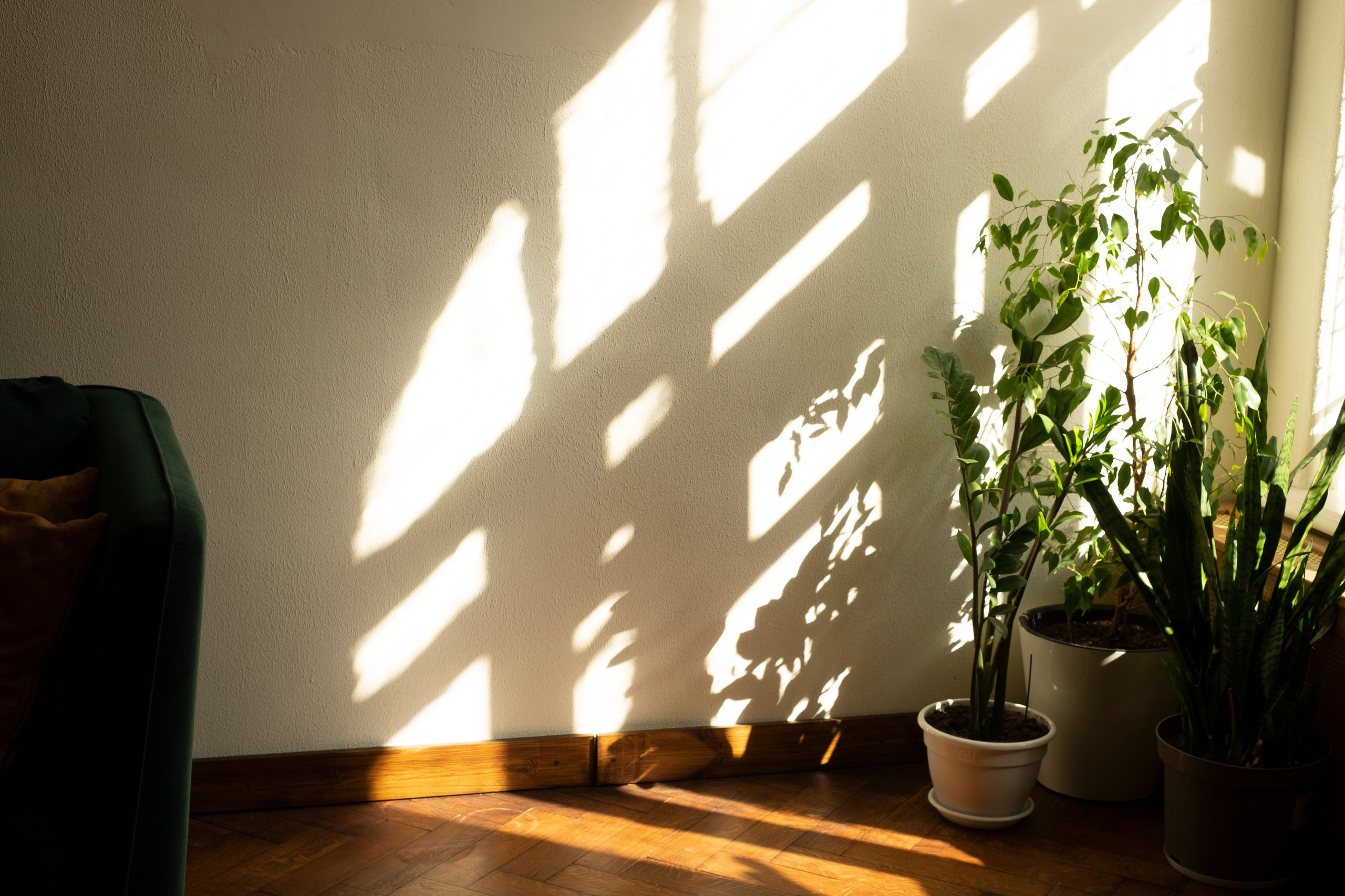 Живая Студия. Фототерапия «Пульс СЧАСТЬЯ»