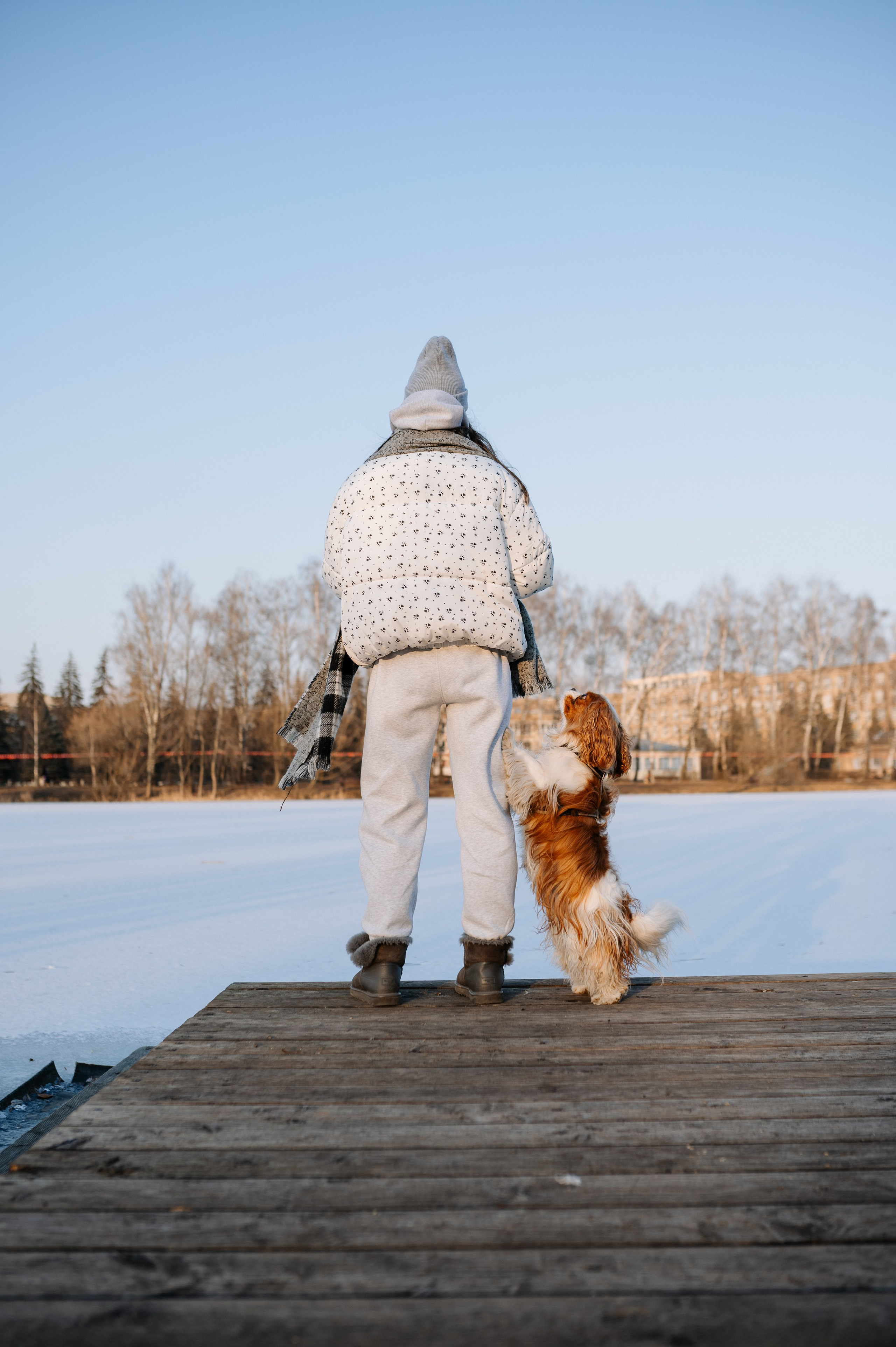 Лена и Арчи. Фотограф анималист в Москве Ольга Агушева
