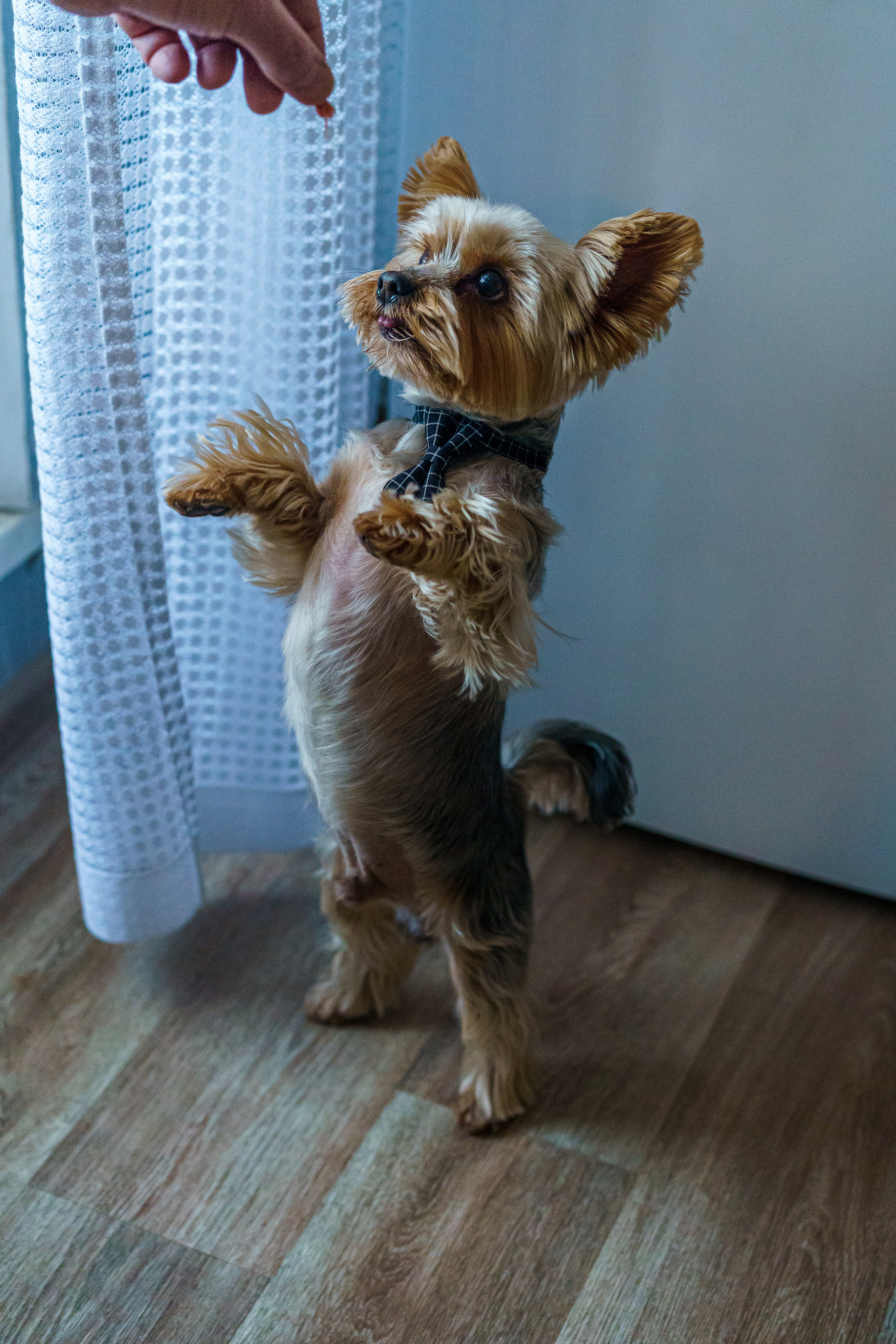 Праздник к нам пришёл!. Фотограф Челябинск · Ольга Серебрякова