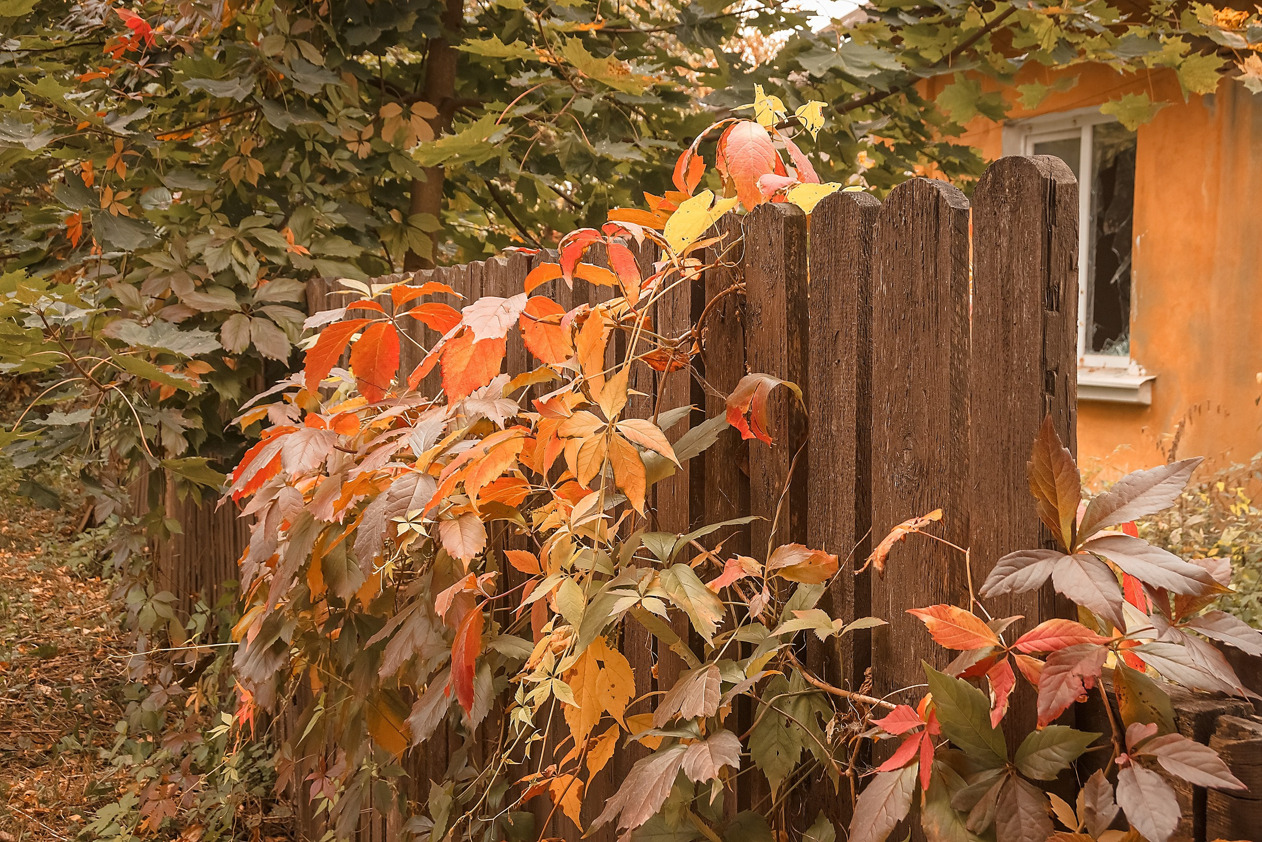 Наш Дом — Земля. Аmat Victoria Сuram