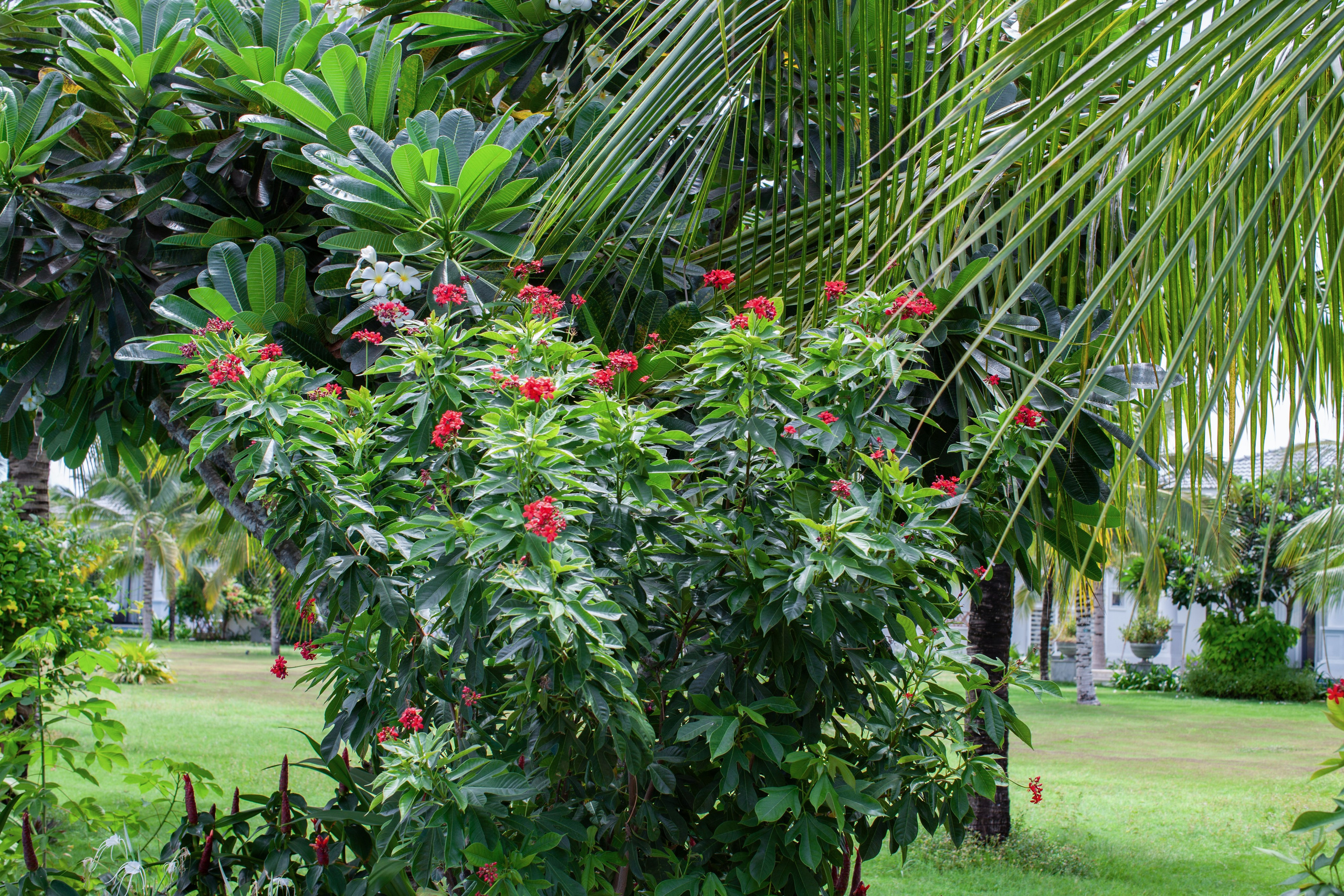 Вьетнам. Vinpearl Long Beach. Мой фотомир