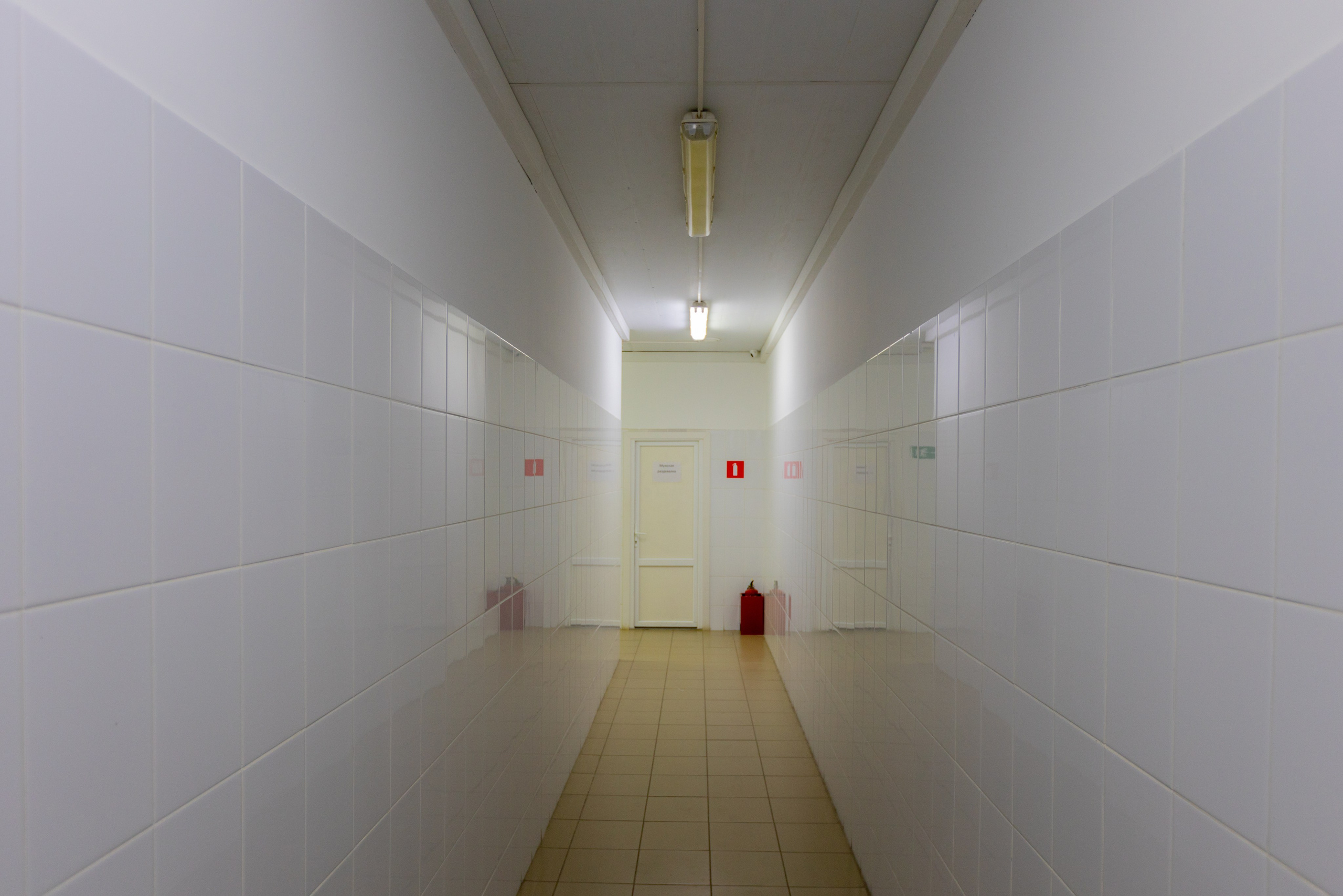 Поездка в Белев и на производство пастилы. Фотограф в Туле Крупский АнДРей. Фотостудия «КАДР71» в Туле