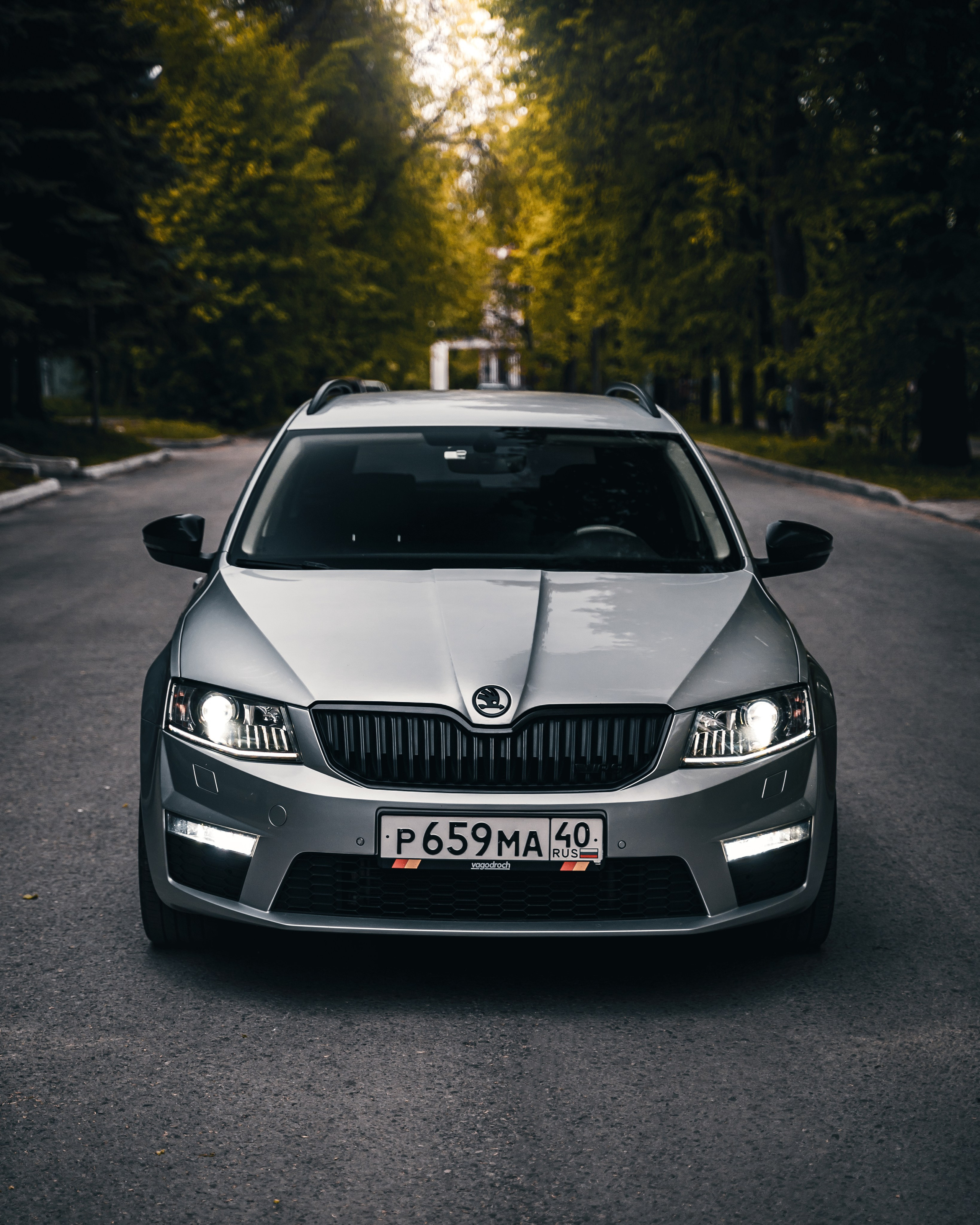 Skoda Octavia A7. Vlad Trykov
