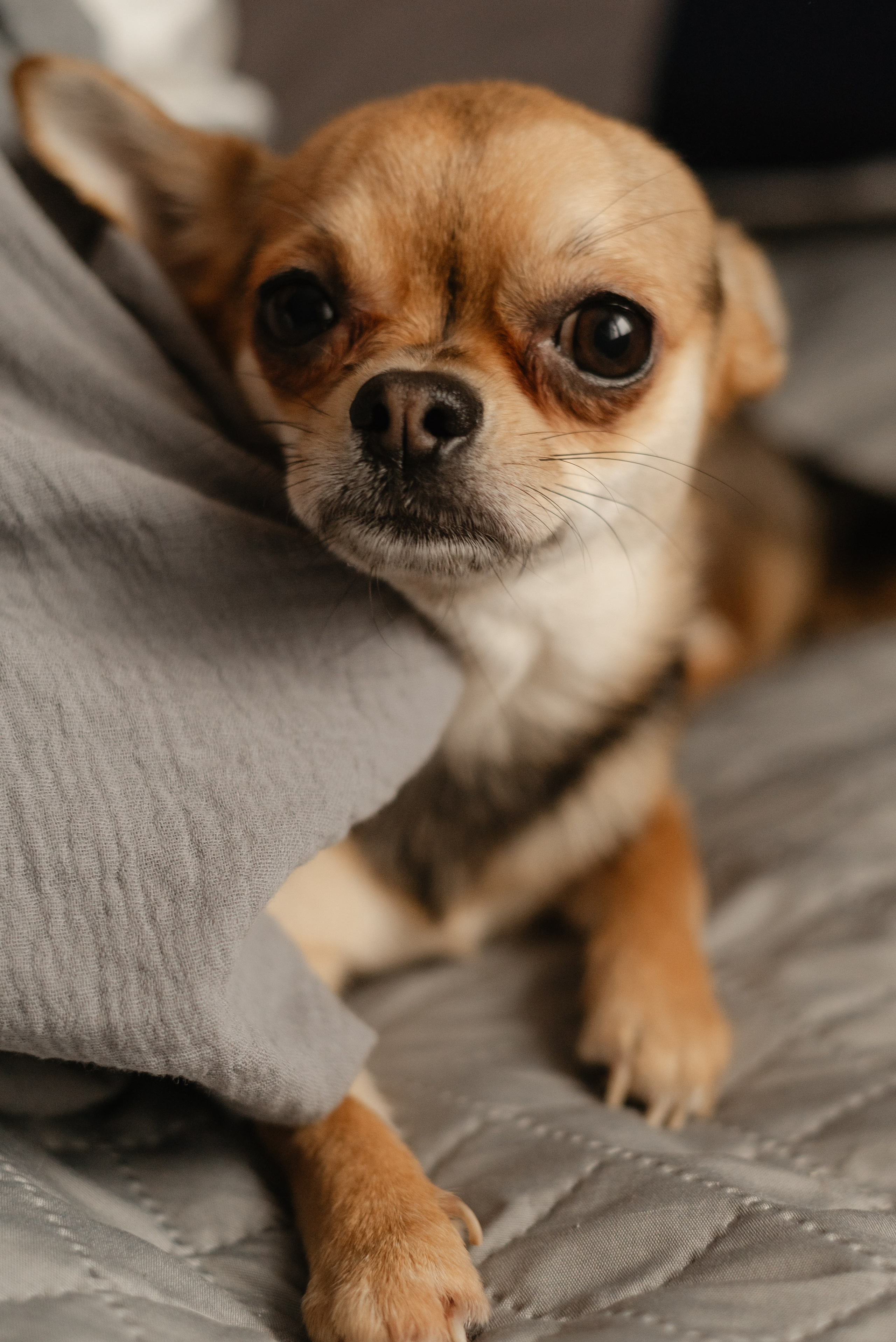 Домашняя семейная фотосессия в Нижнем Новгороде. Семейный и портретный фотограф Нижний Новгород