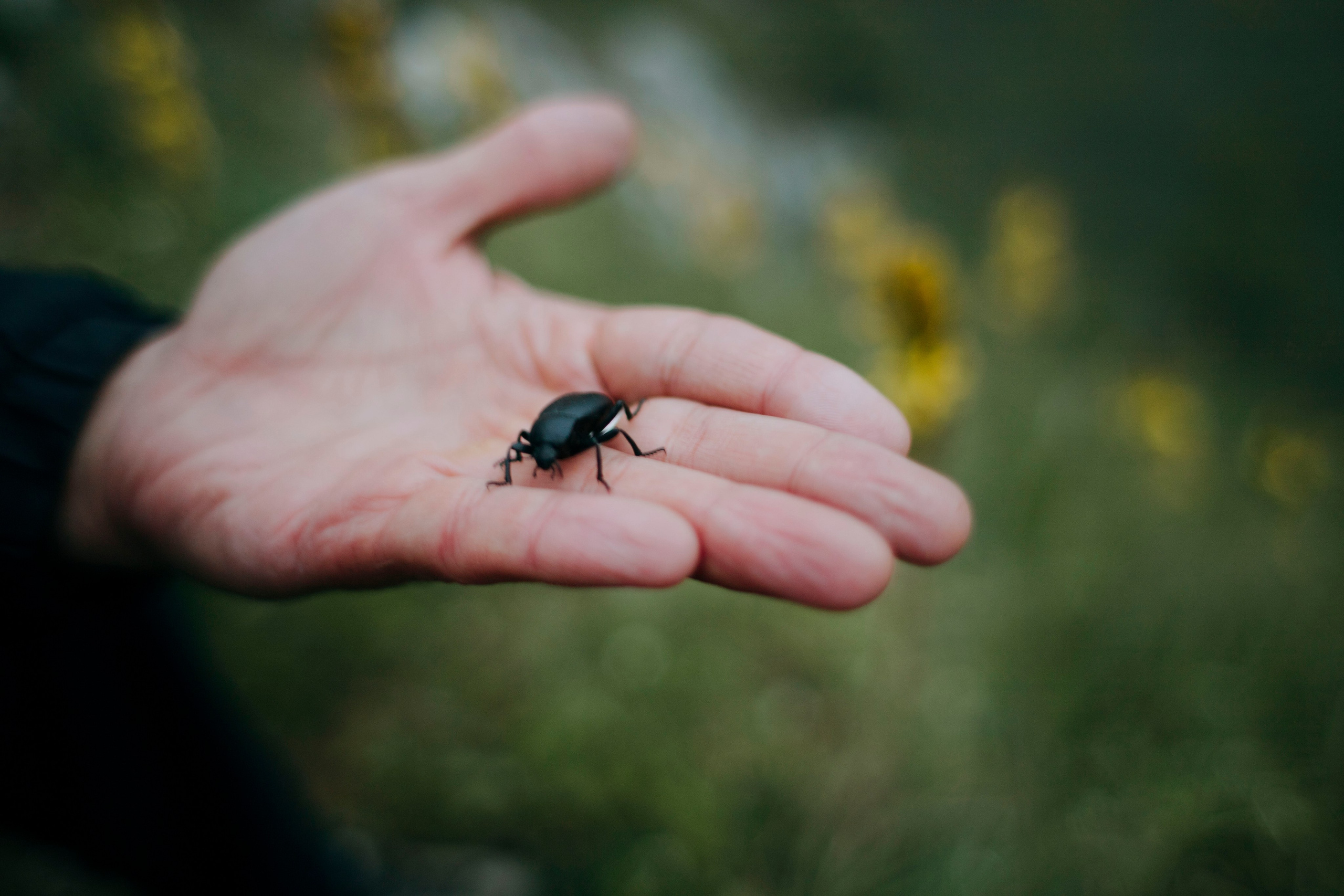 МореНебоОблака. Ваш портретный фотограф в Москве Катя Прокофьева