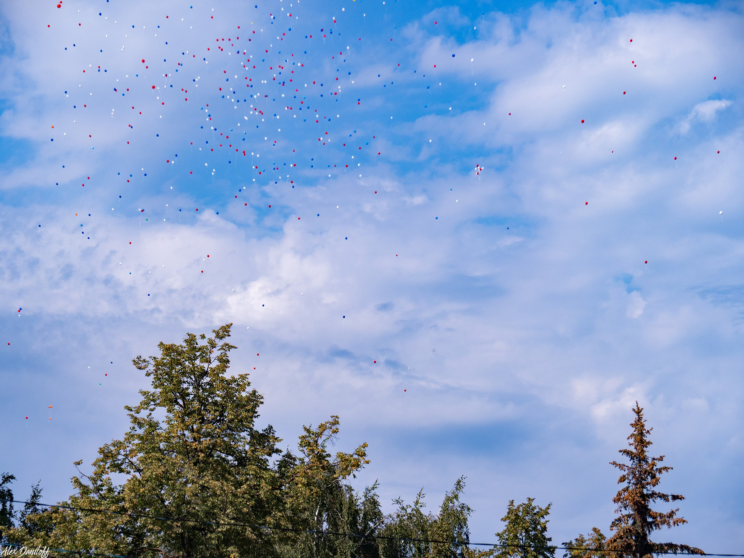 Первоклассный день 25. Муром-Инфо. Новости культуры, образования, спорта в городе Муром