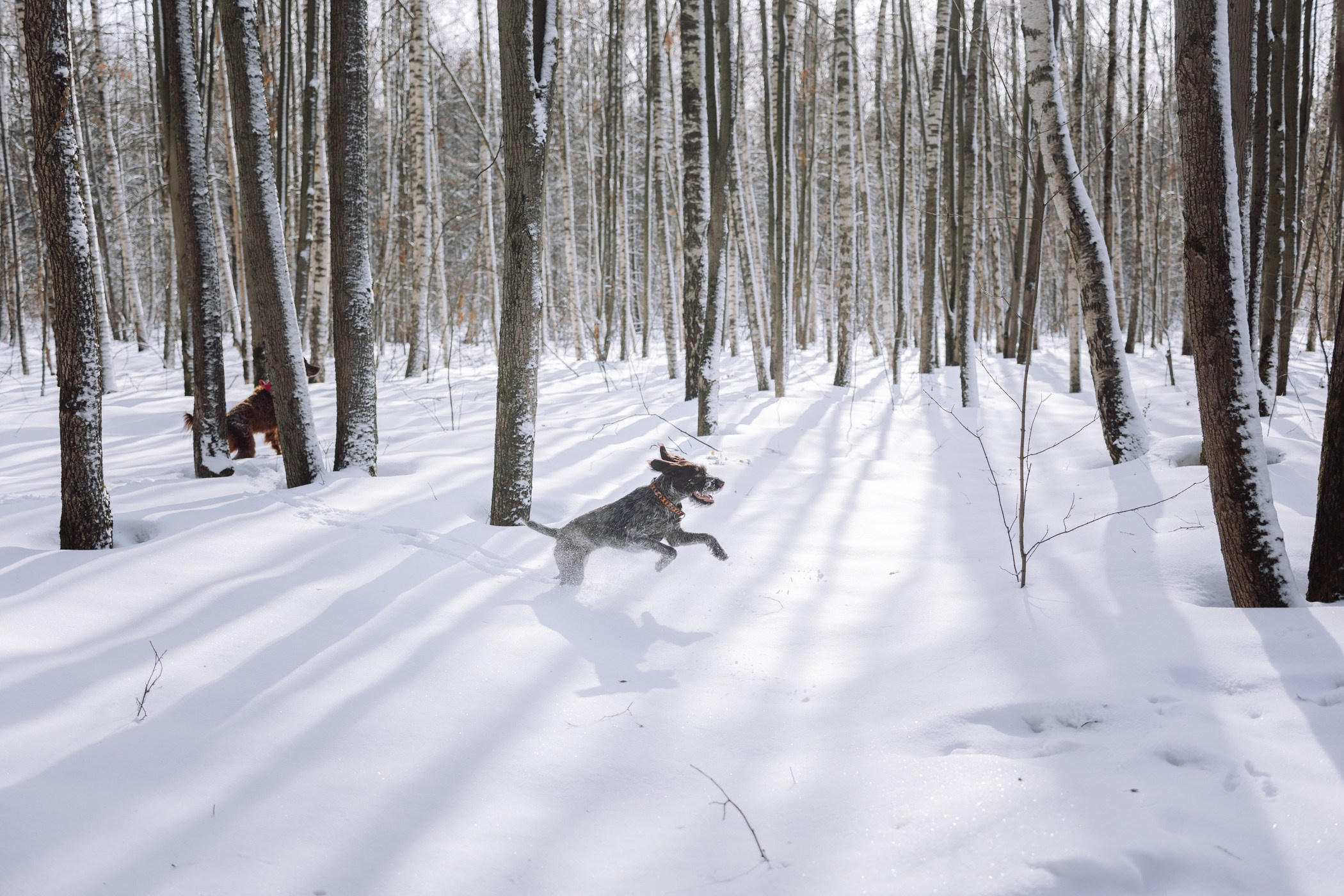 Фотограф Ирина Астор