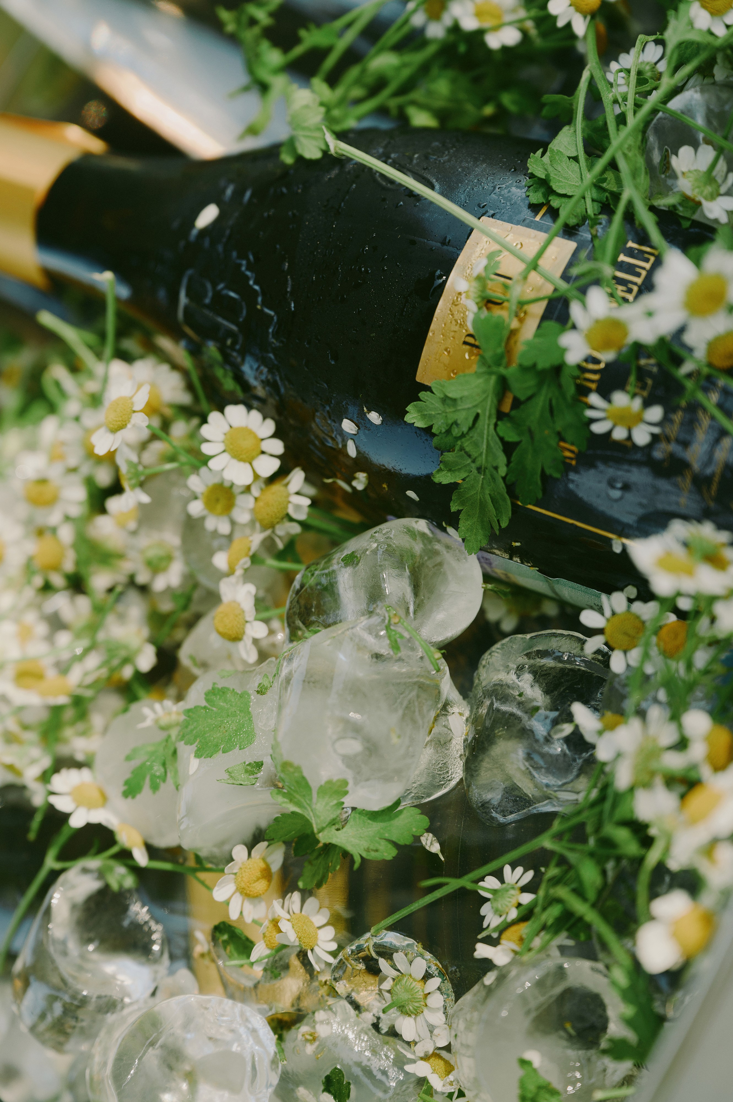 Лина и Стас. Свадебный фотограф в Ростовe-на-Дону Анастасия Прутова