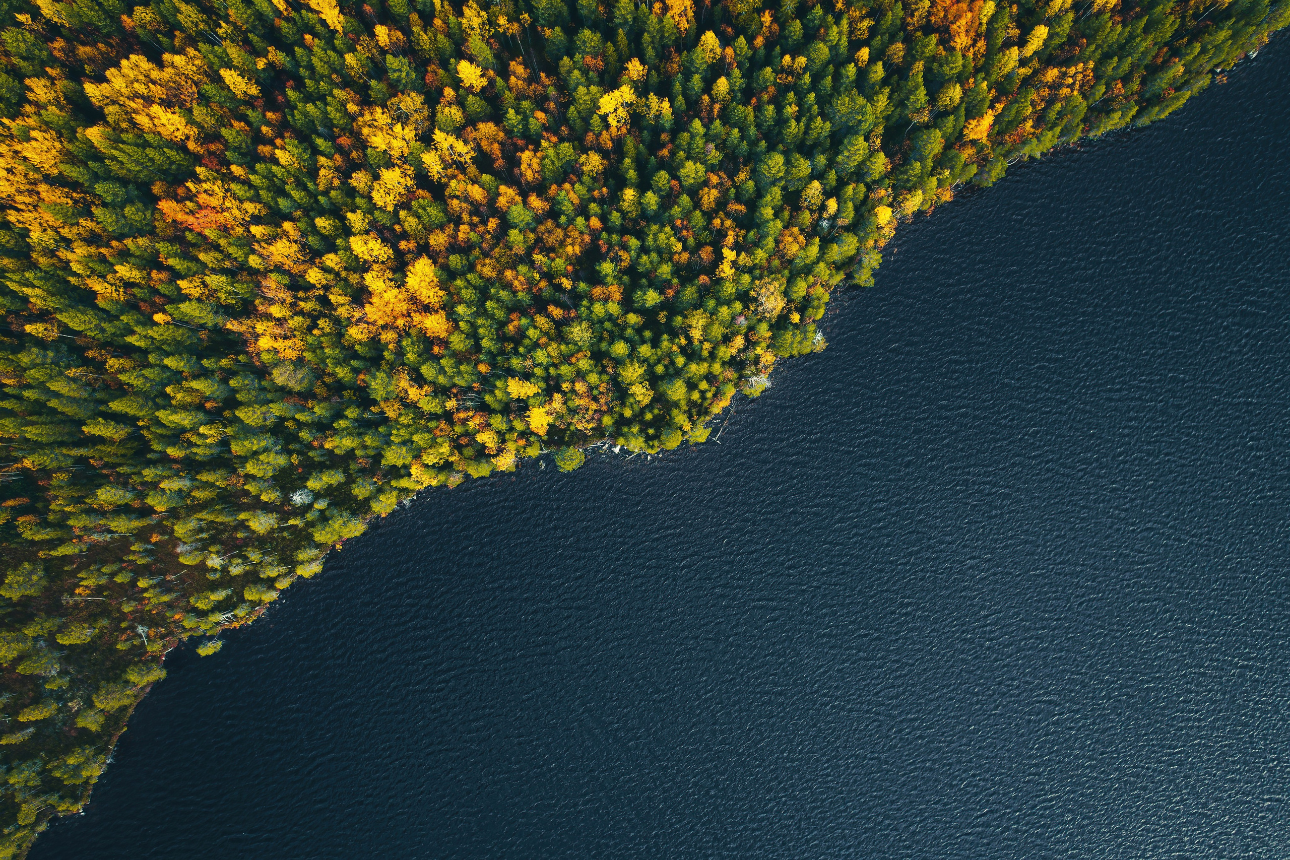 СЕВЕР. Event фотограф Степанова Александра