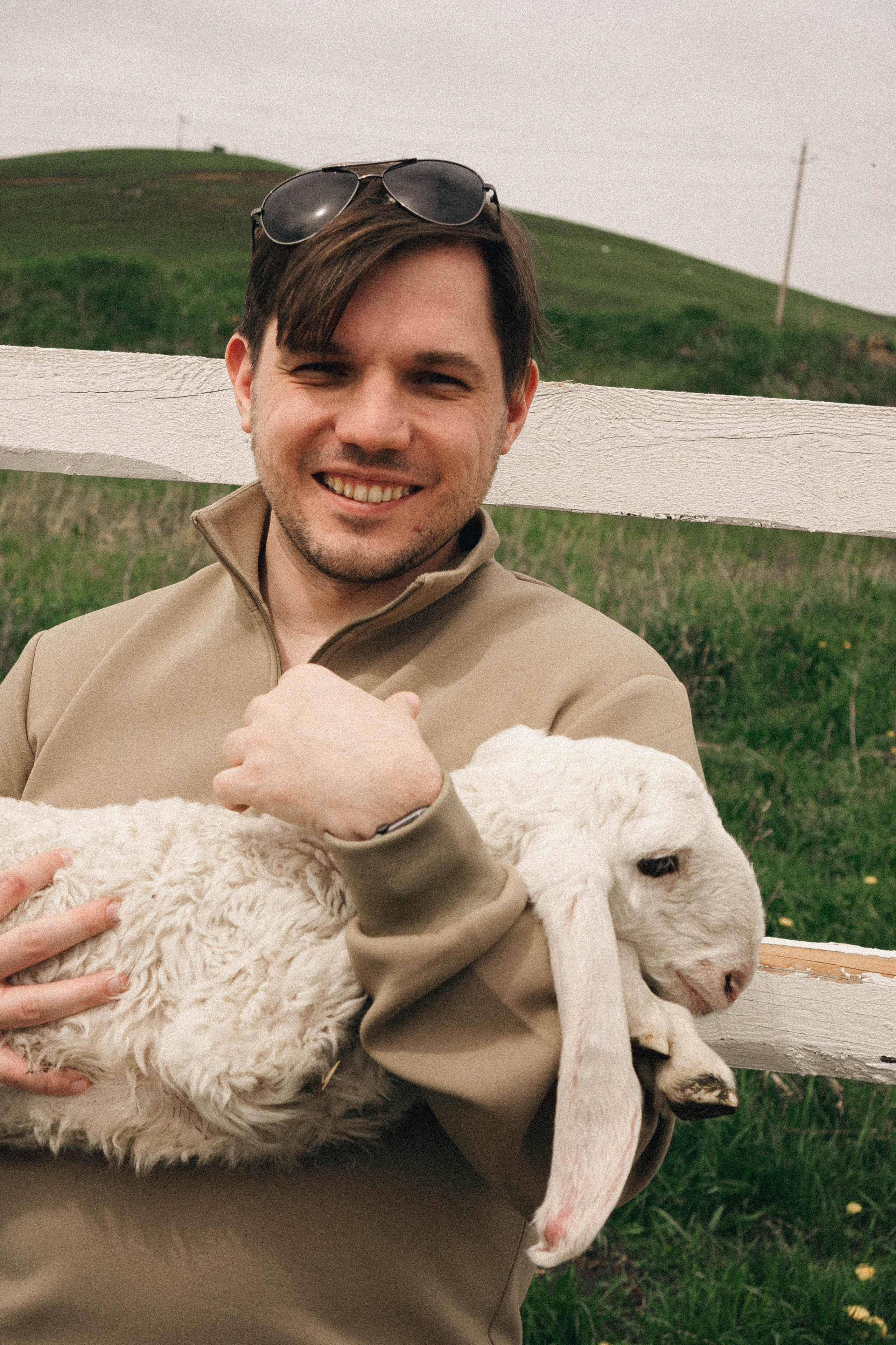 Ферма Альпак. Профессиональный фотограф, Санкт-Петербург — Виктория Богомолова