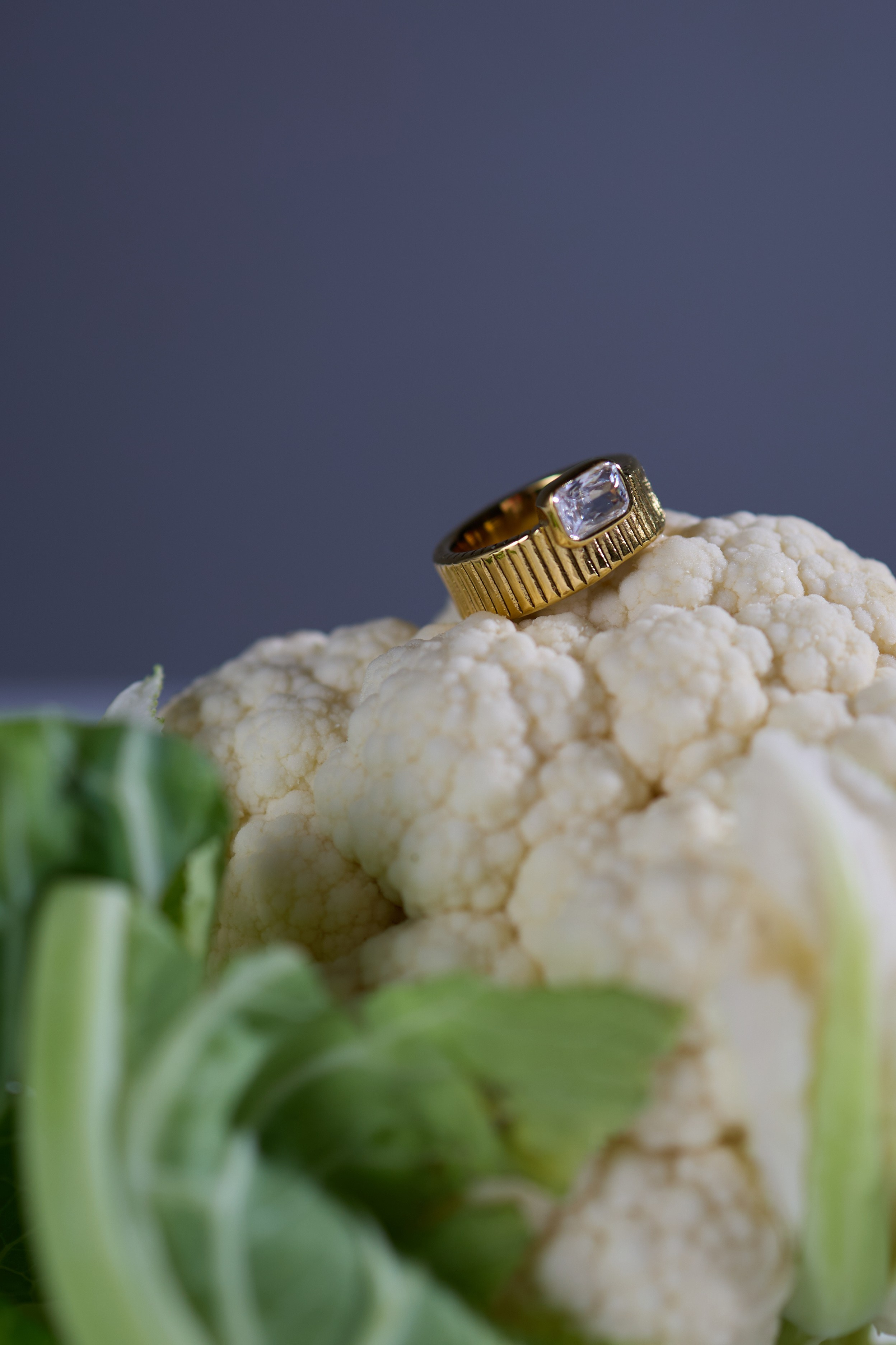 ПРЕДМЕТКА. Фотограф Санкт-Петербург, Кингисепп Екатерина Зубкова