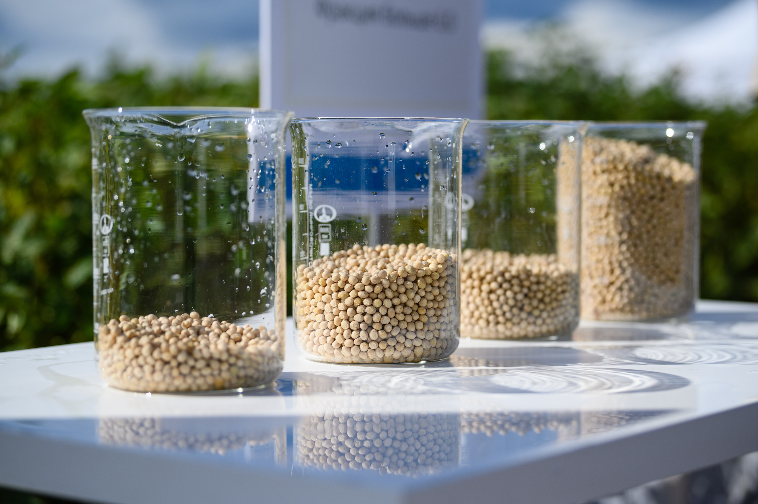 Проекты. Профессиональный фотограф Вячеслав Плацында | Липецк |