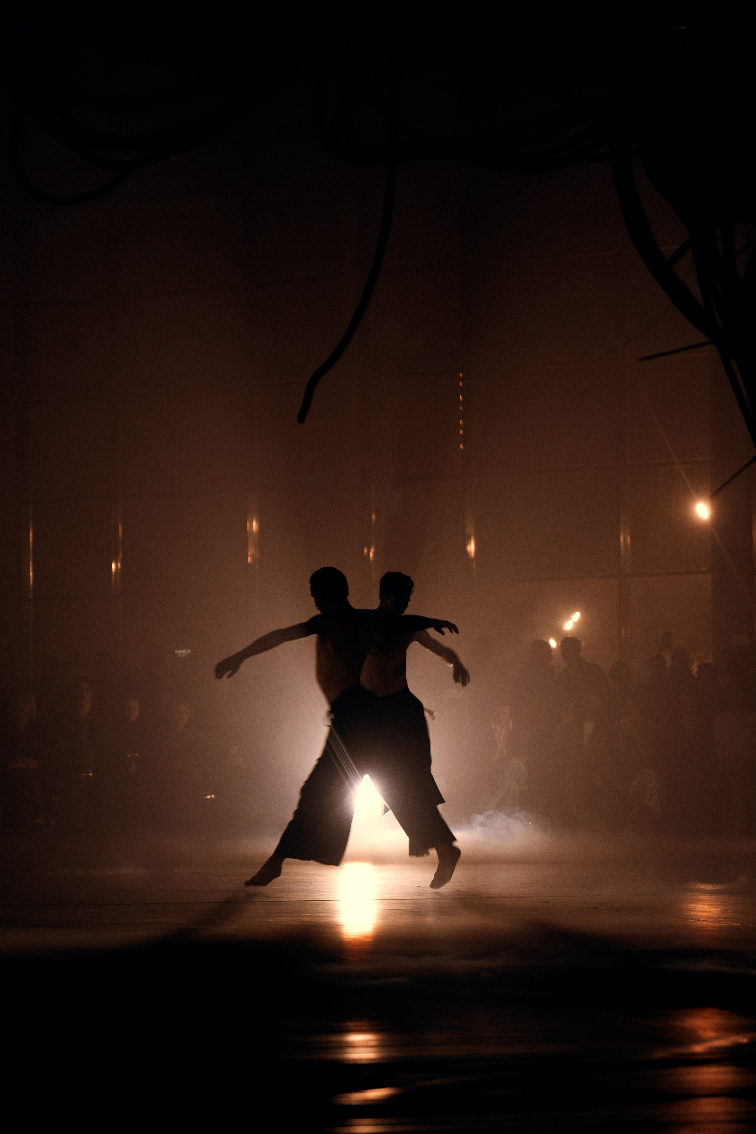 PERFORMA, The Hour of the Horse. @tomrus: Рустам Шагиморданов — фотограф