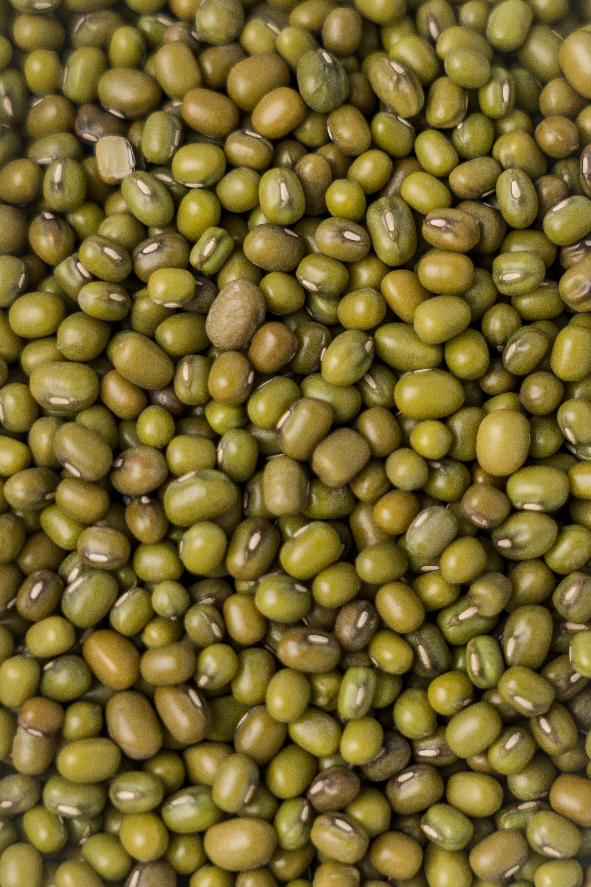 «ЧУДЕСНАЯ ЖИЗНЬ». Фотограф в Москве Казакова Анна