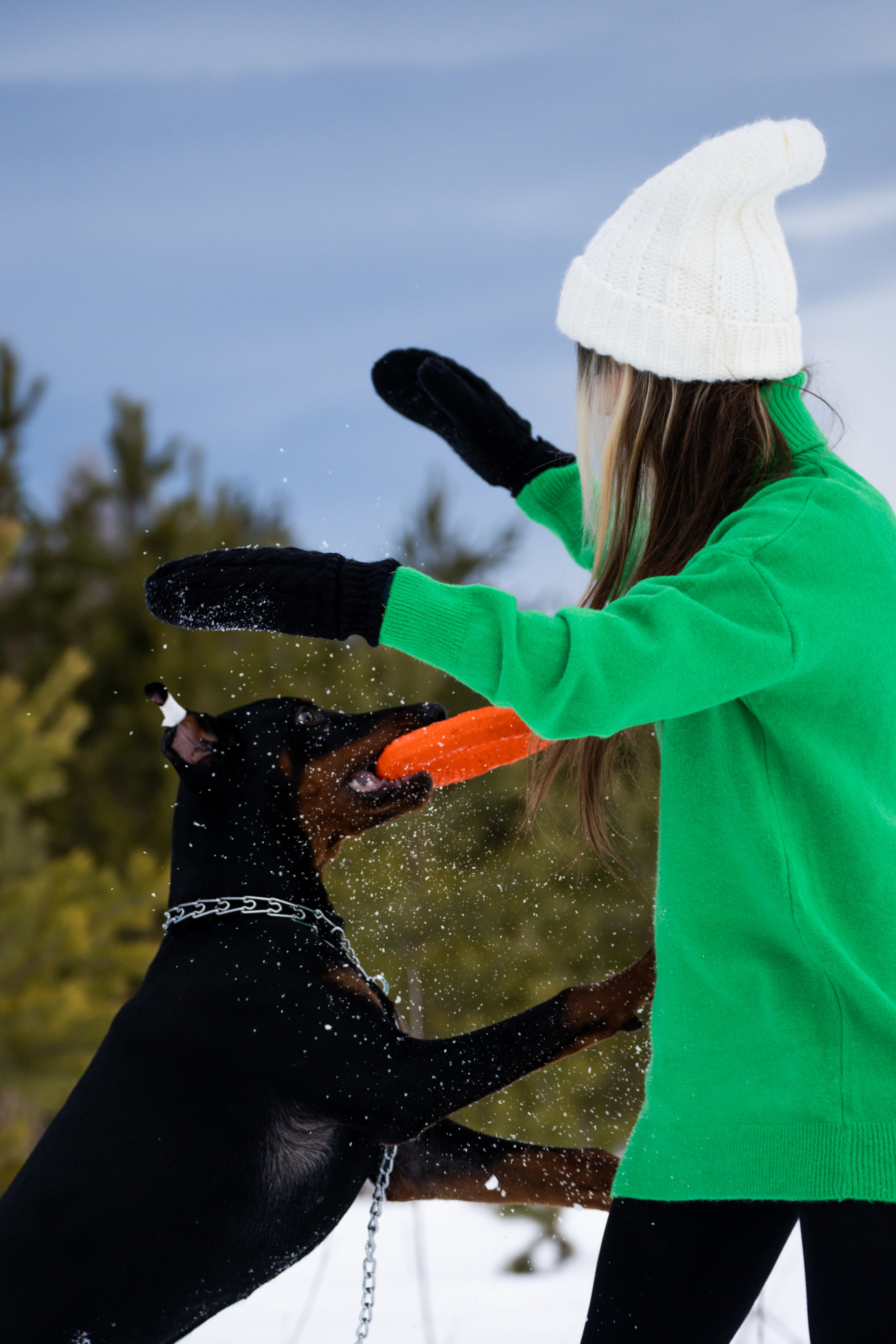 Каспер. Фотограф-анималист Анастасия Большакова