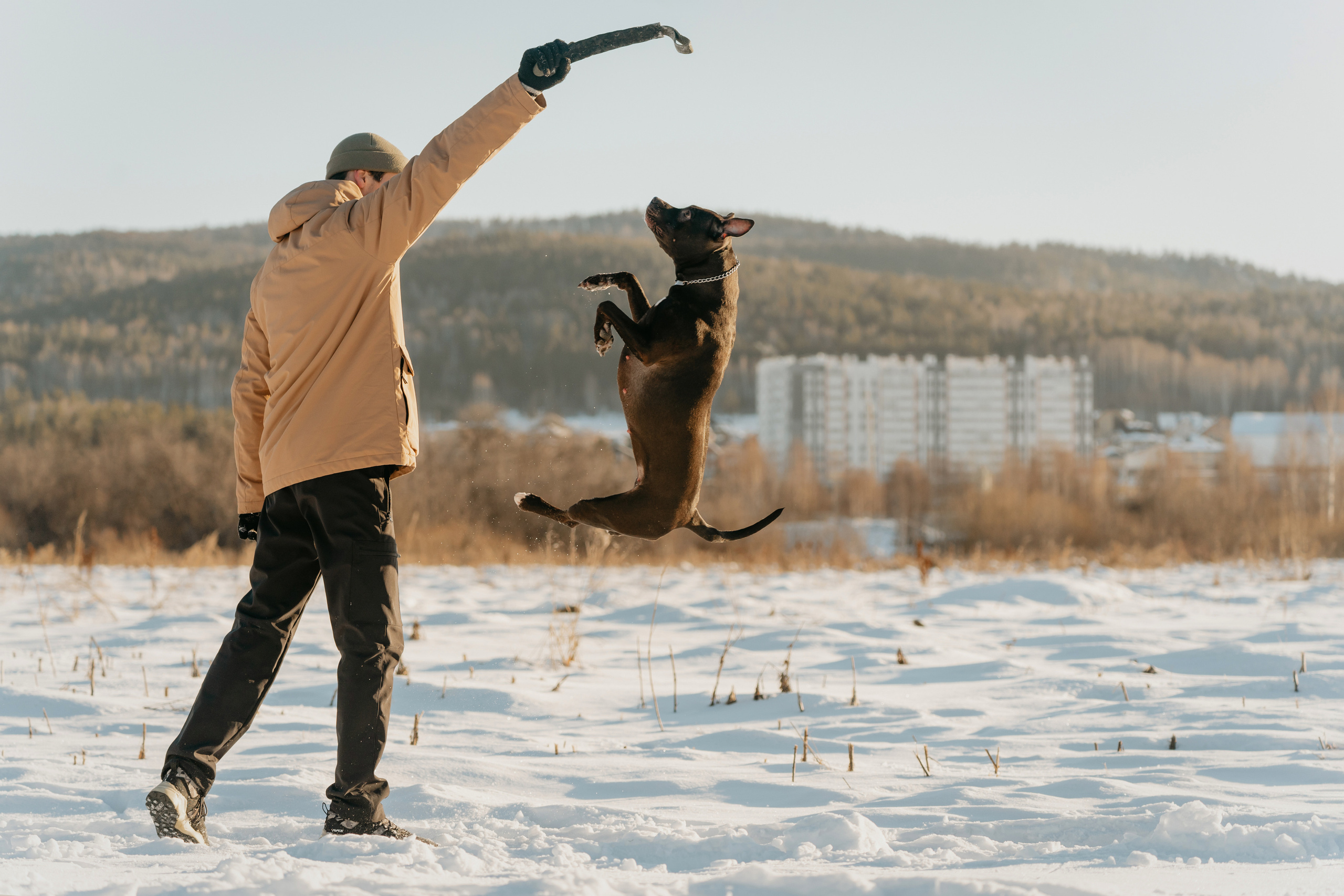 Мэгги. Фотограф-анималист Анастасия Большакова