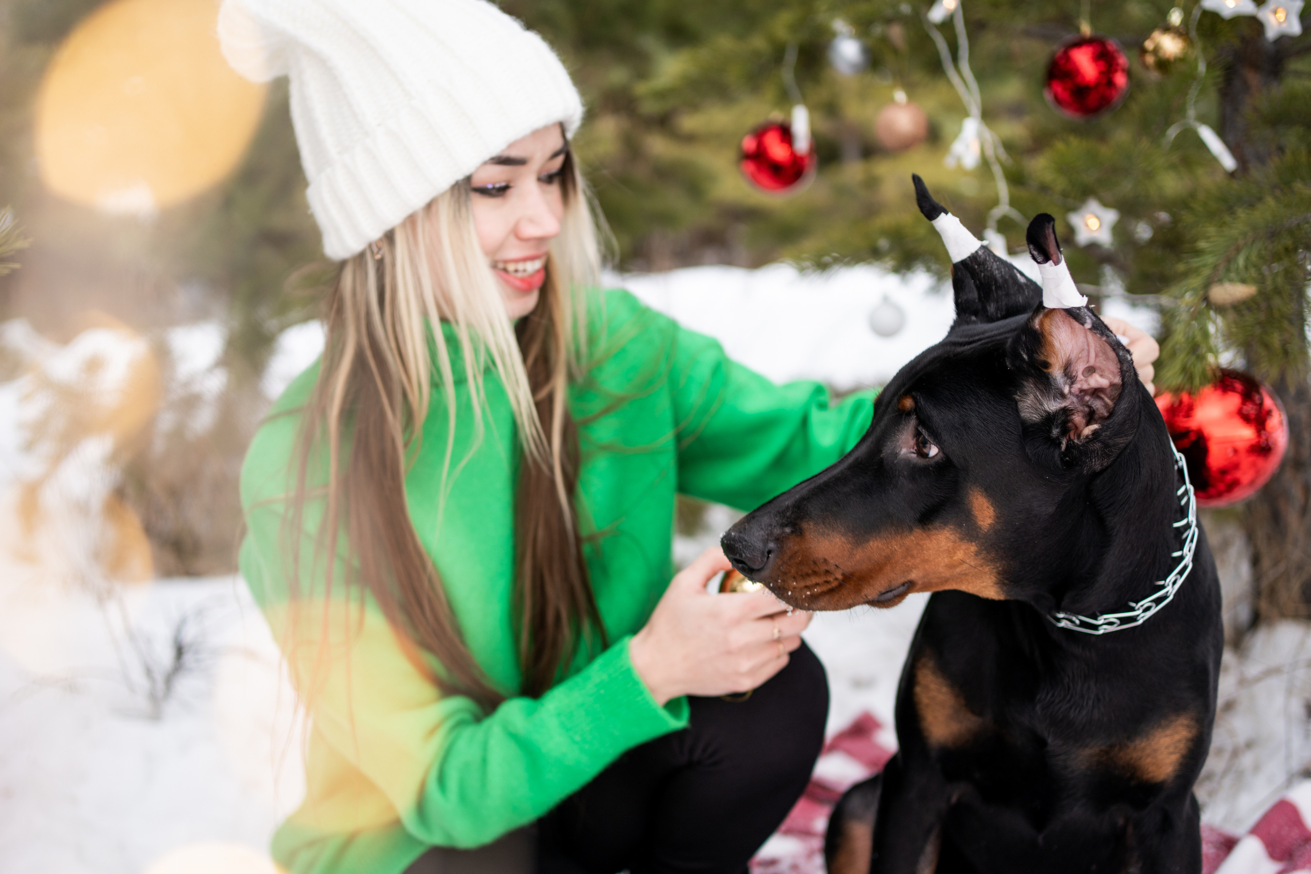 Каспер. Фотограф-анималист Анастасия Большакова