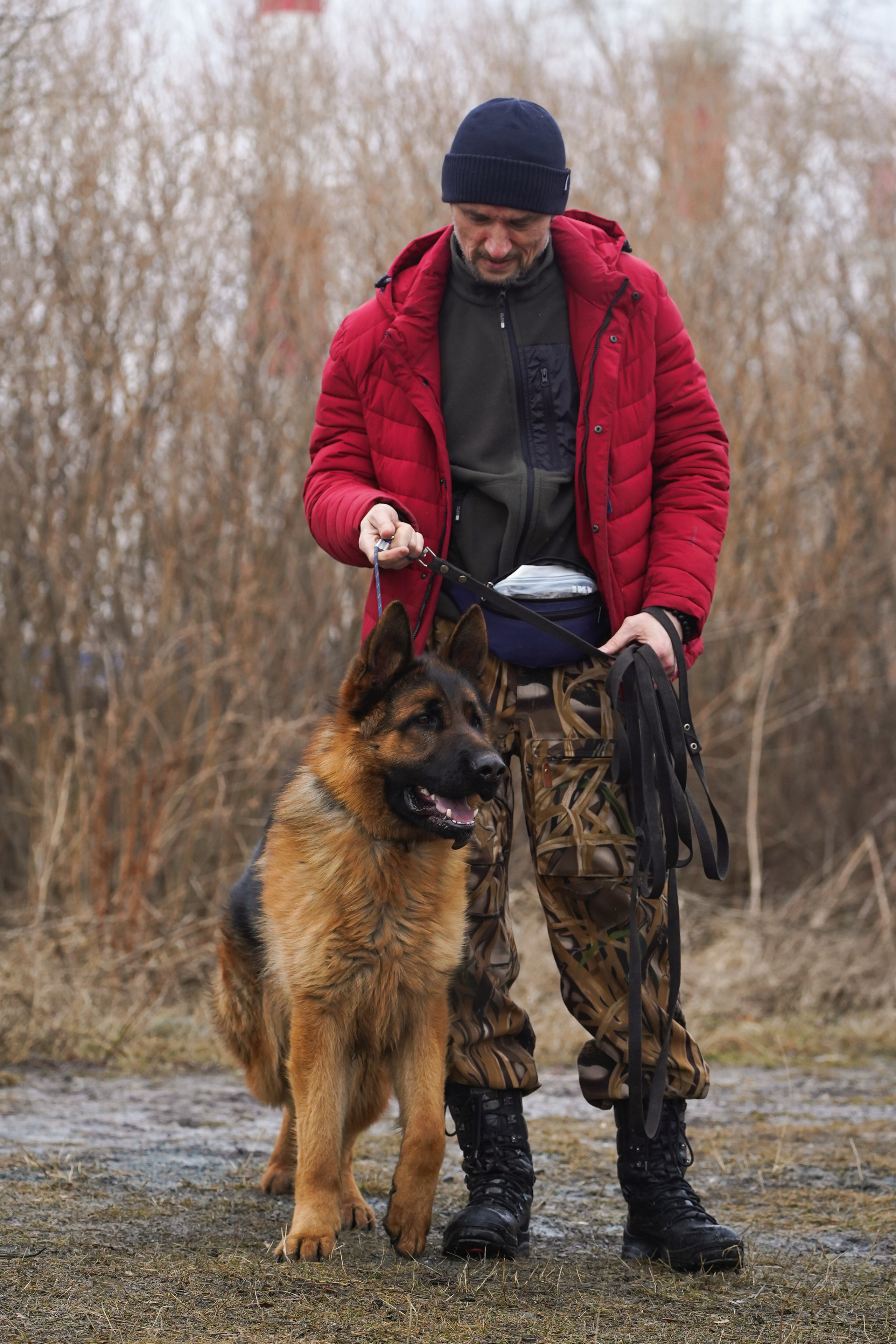 Клуб любителей собак «CANIS». Фотограф-анималист Анастасия Большакова