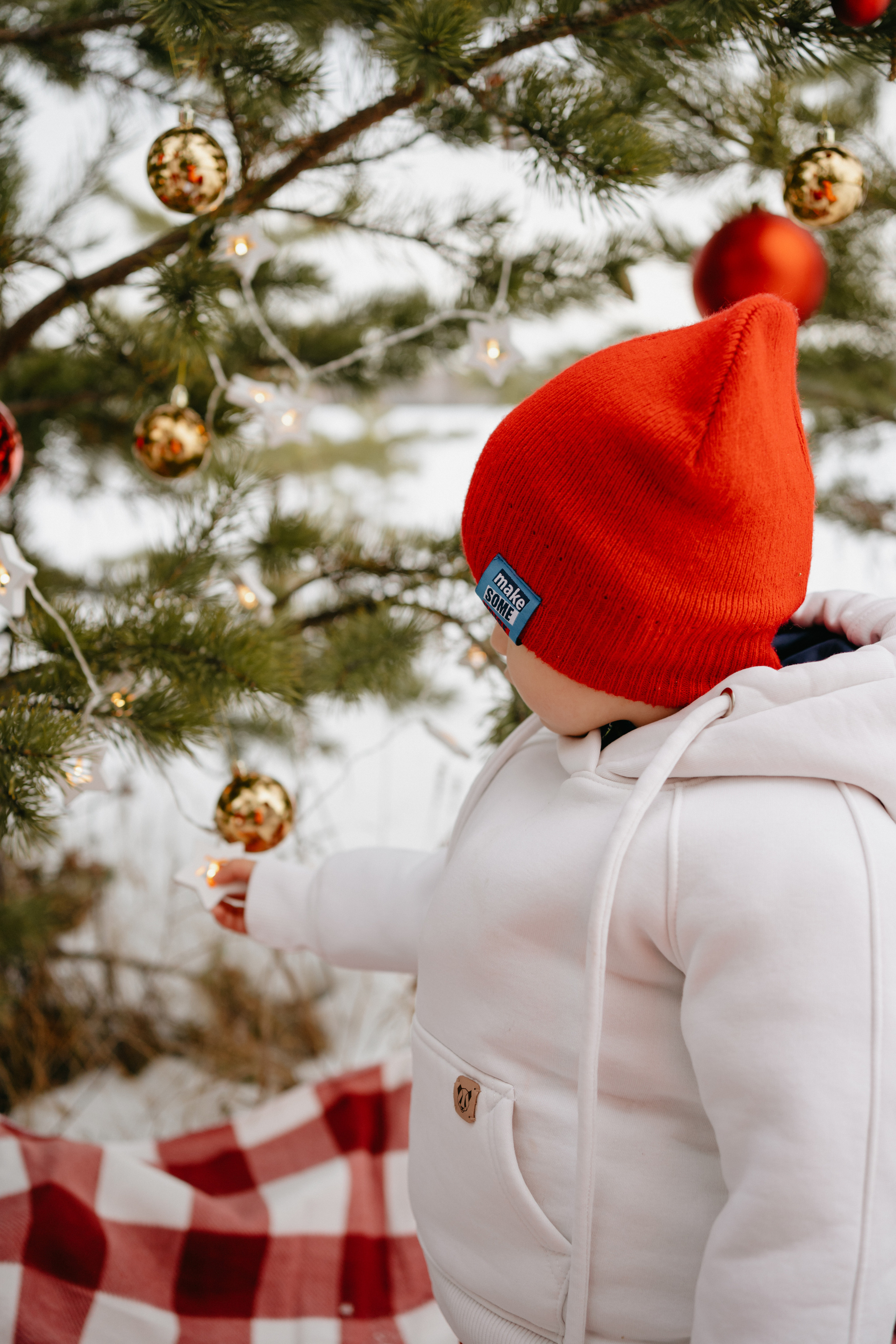 Марик. Фотограф-анималист Анастасия Большакова