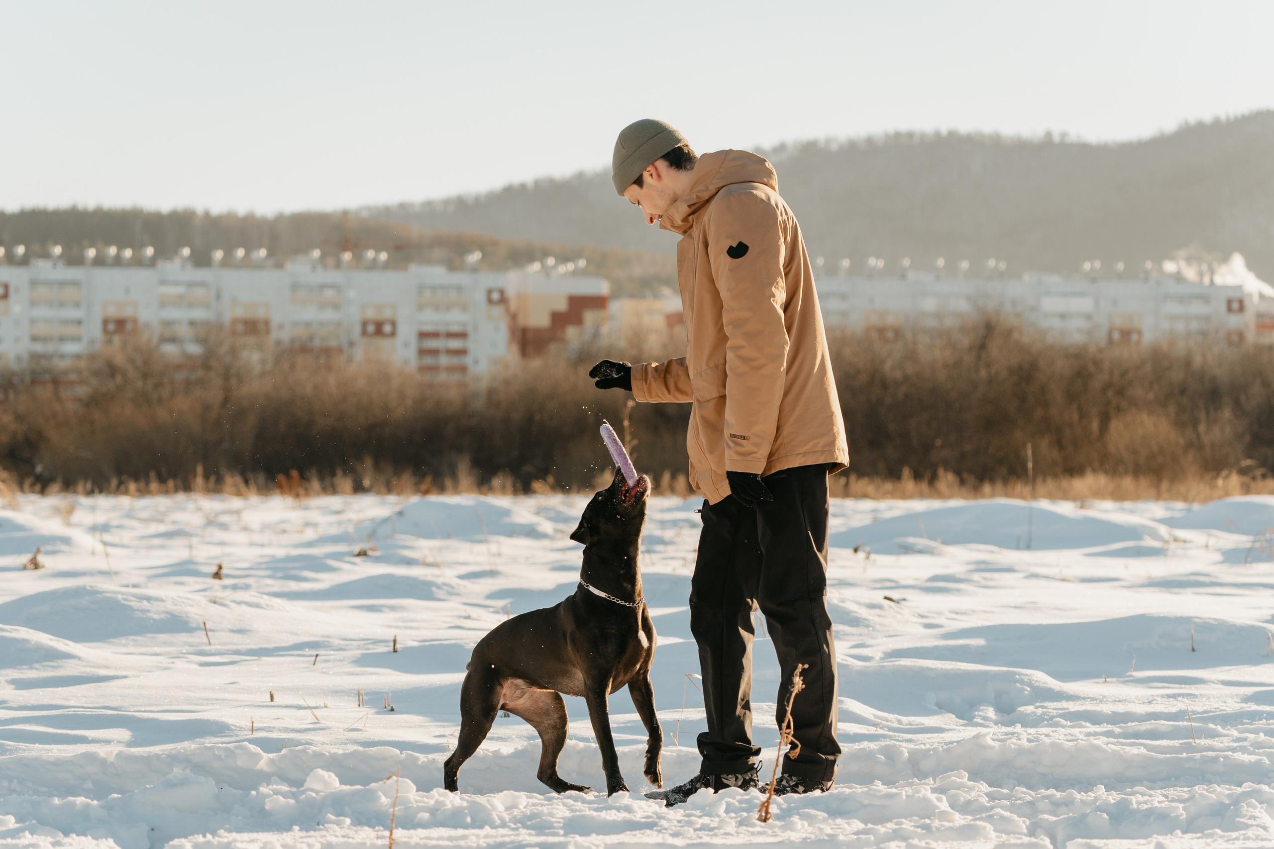 Мэгги. Фотограф-анималист Анастасия Большакова